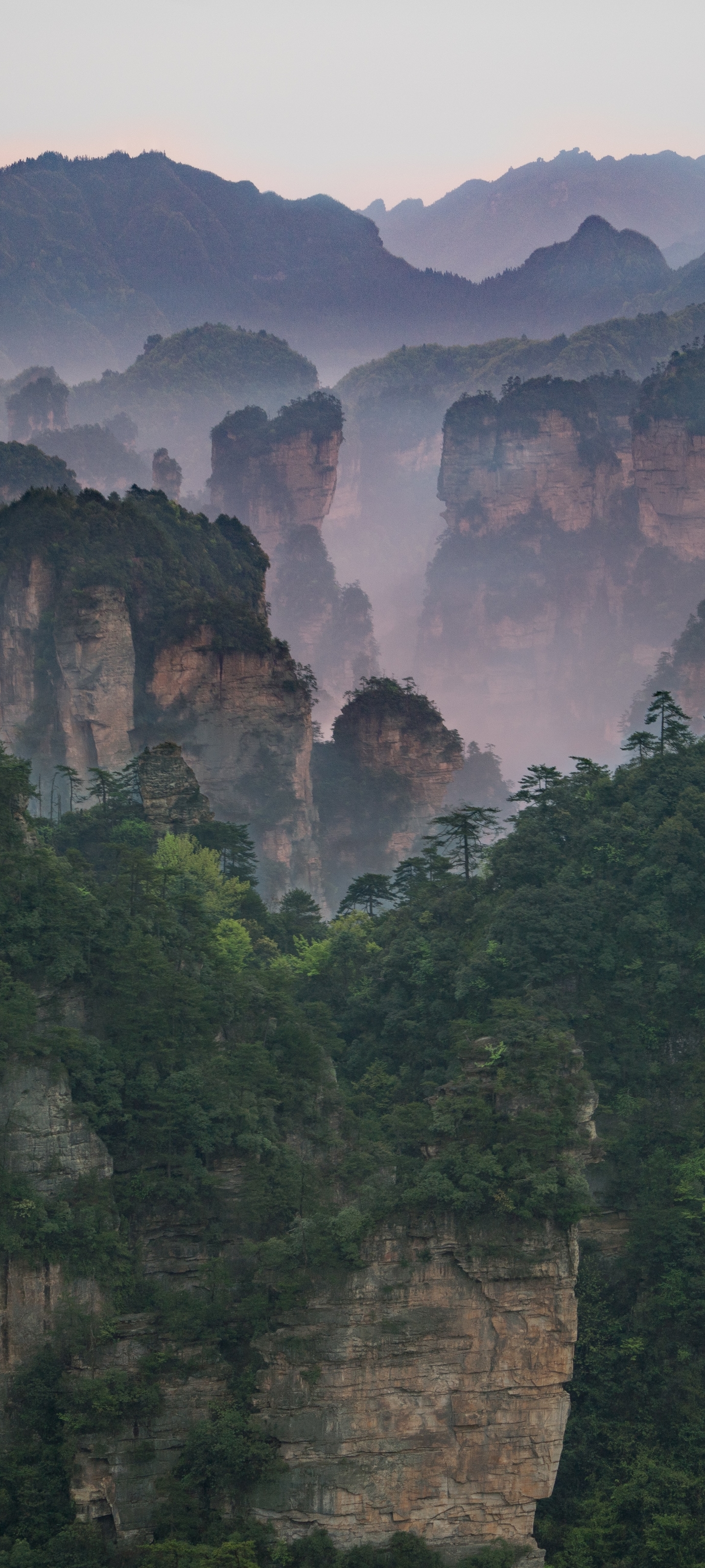 1185358 Hintergrundbilder und Nationaler Waldpark Zhangjiajie Bilder auf dem Desktop. Laden Sie  Bildschirmschoner kostenlos auf den PC herunter