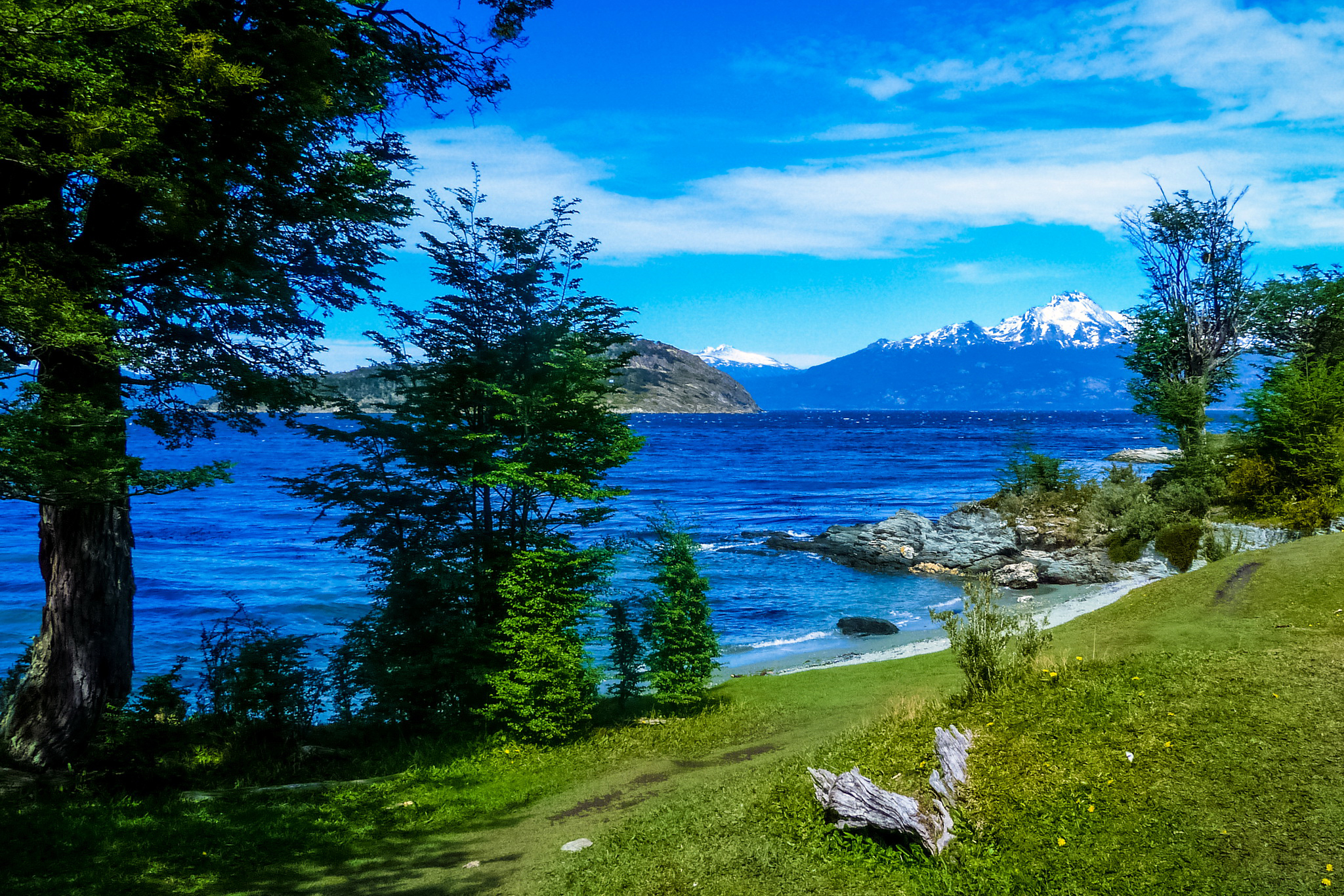 Скачать обои бесплатно Озера, Гора, Озеро, Дерево, Аргентина, Земля/природа картинка на рабочий стол ПК