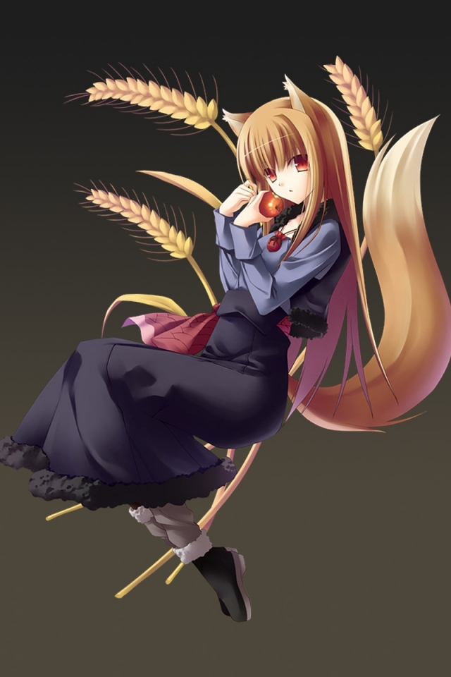 Download mobile wallpaper Anime, Spice And Wolf for free.