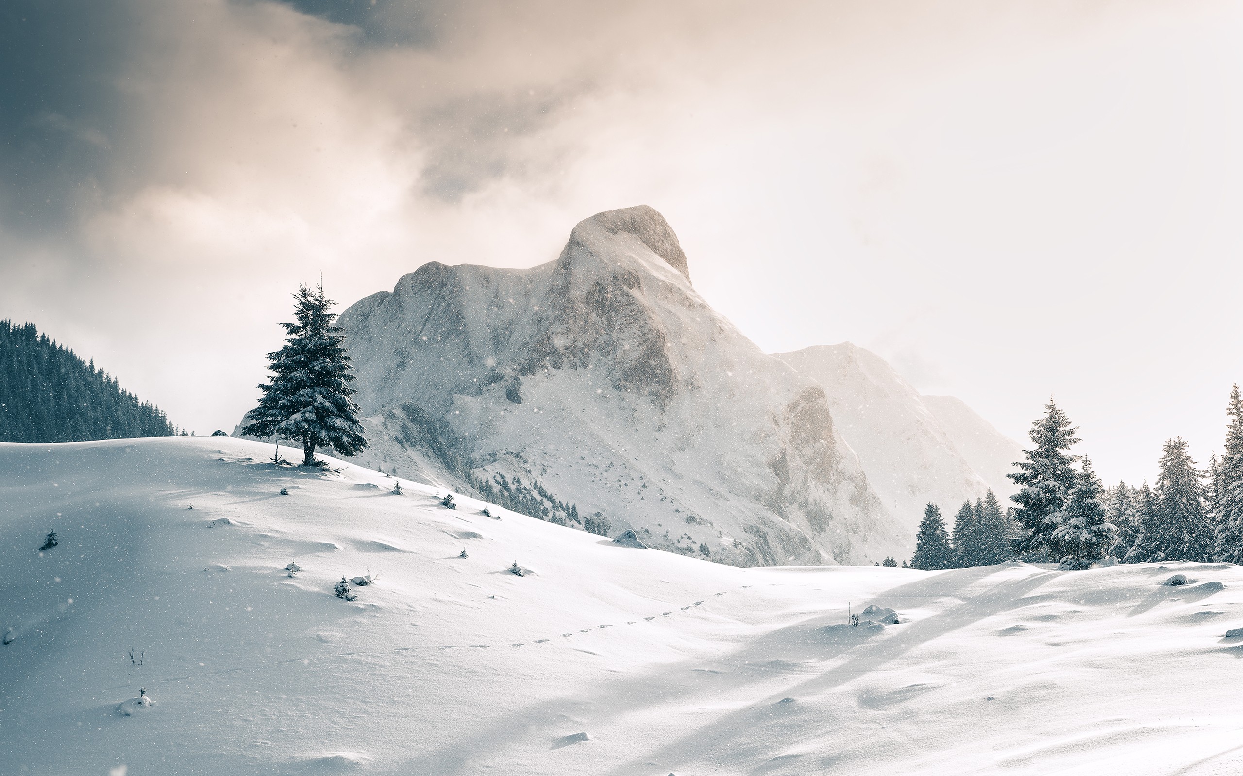 PCデスクトップに冬, 自然, 木, 雪, 山, 地球, 山岳画像を無料でダウンロード