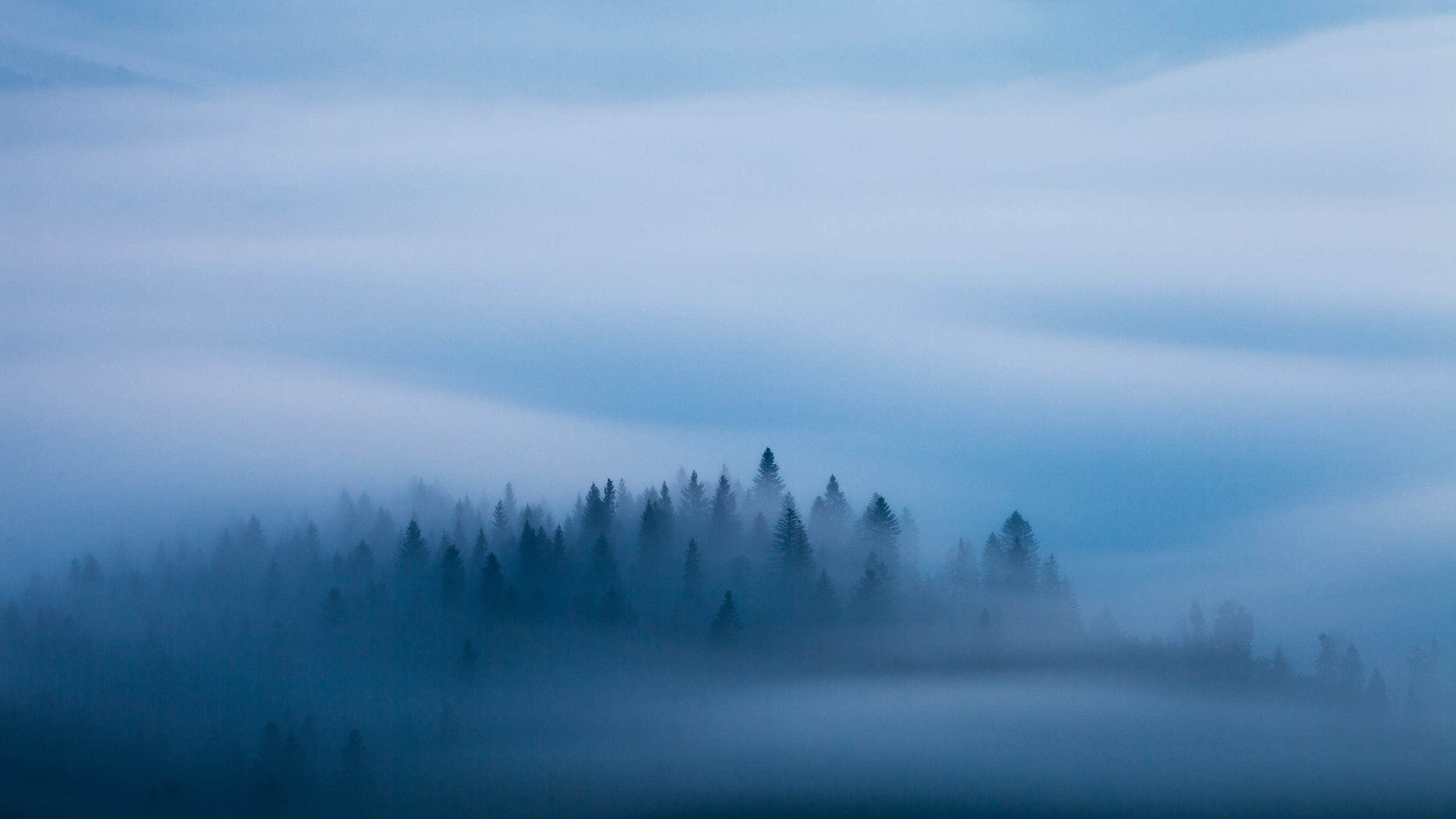 Download mobile wallpaper Fog, Earth for free.