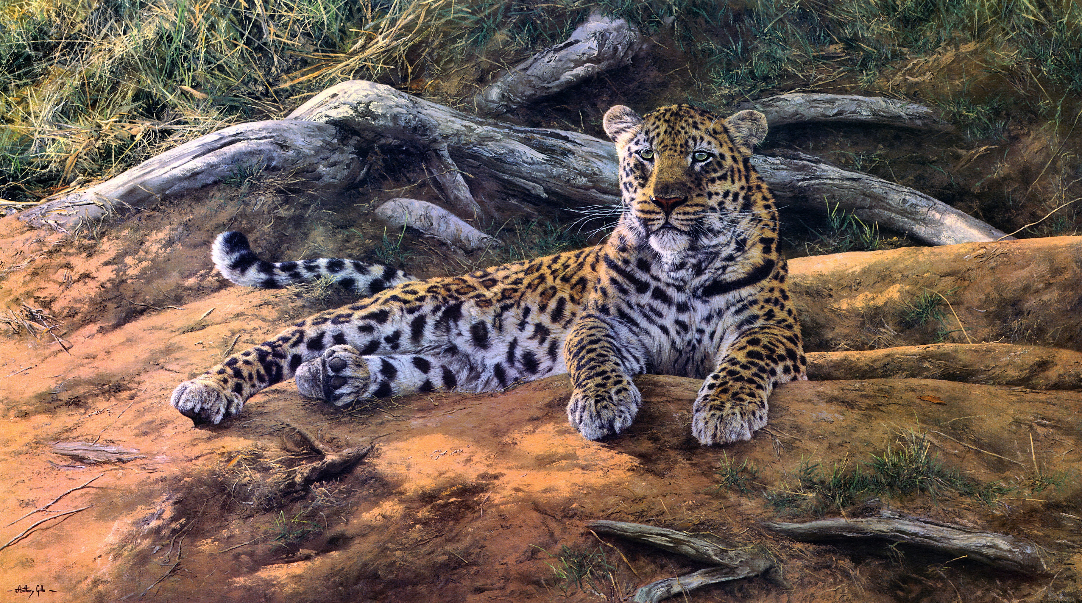 Download mobile wallpaper Cats, Leopard, Animal, Painting for free.