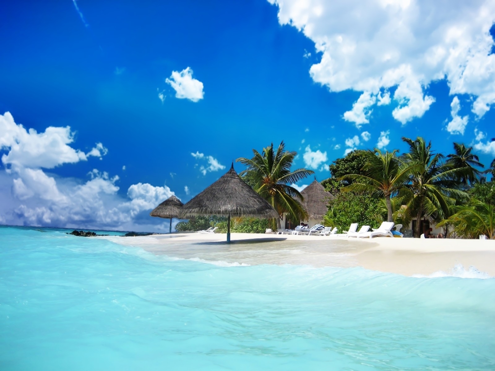 beach, landscape, sky, sea, palms 4K for PC