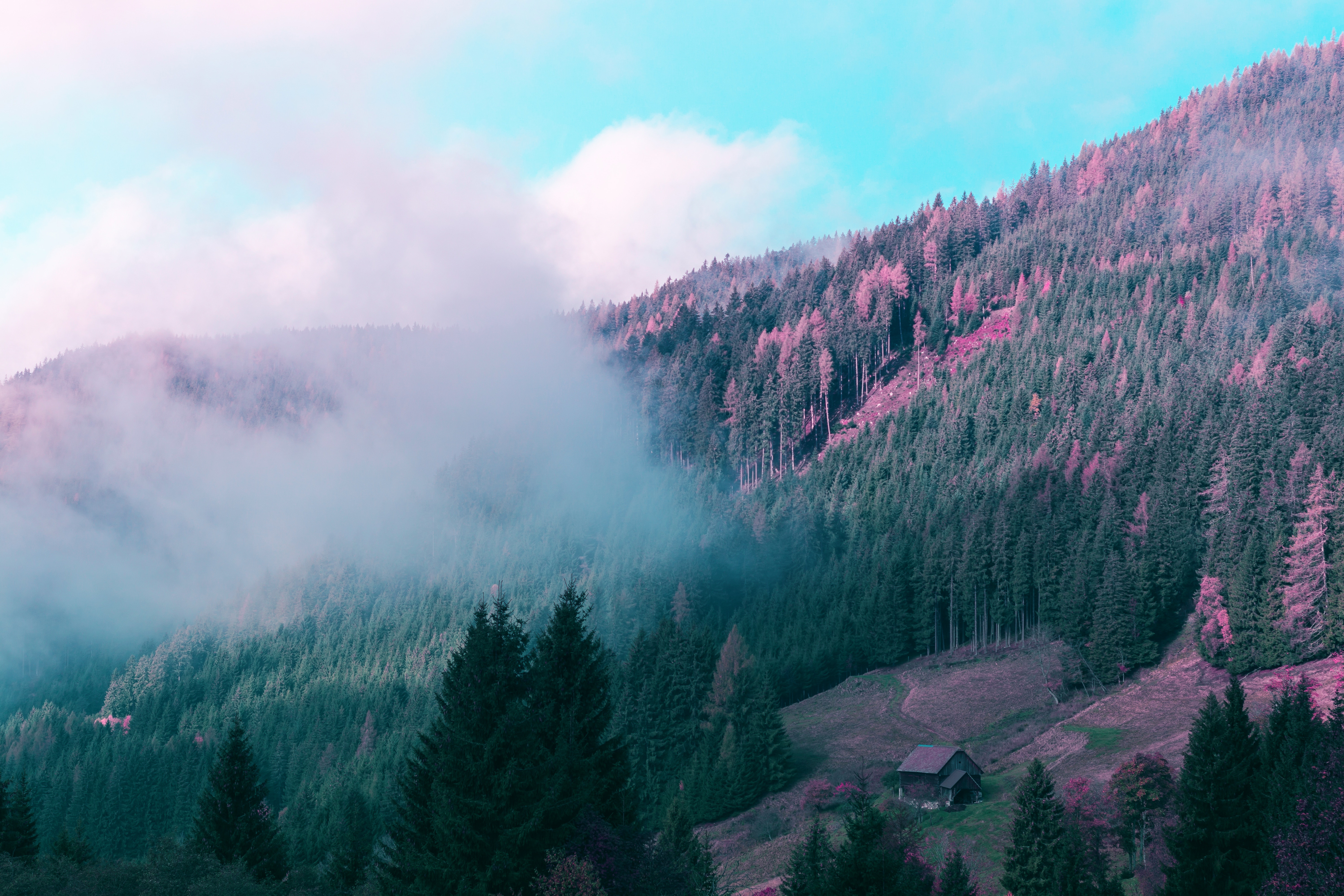 126204 Bild herunterladen mountains, natur, bäume, wald, nebel, kleines haus, lodge - Hintergrundbilder und Bildschirmschoner kostenlos
