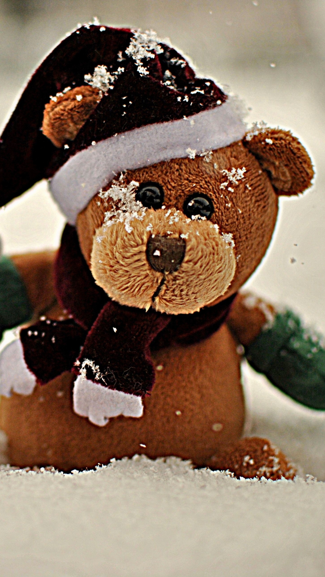 Handy-Wallpaper Feiertage, Weihnachten, Teddybär, Bär, Weihnachtsmütze, Tragen kostenlos herunterladen.