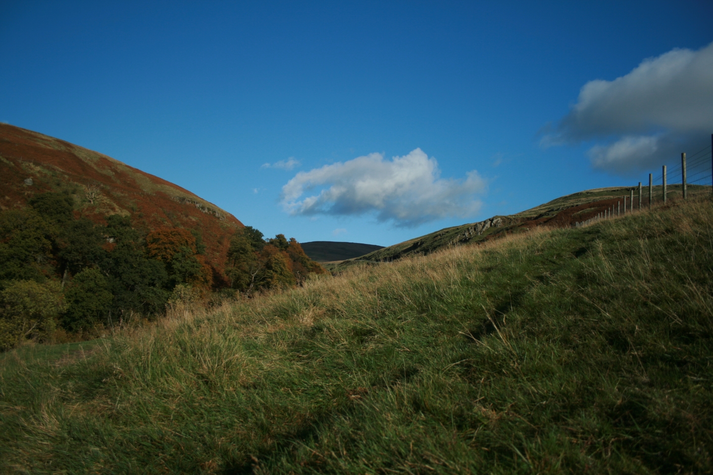 Laden Sie das Landschaft, Feld, Hügel, Himmel, Erde/natur-Bild kostenlos auf Ihren PC-Desktop herunter