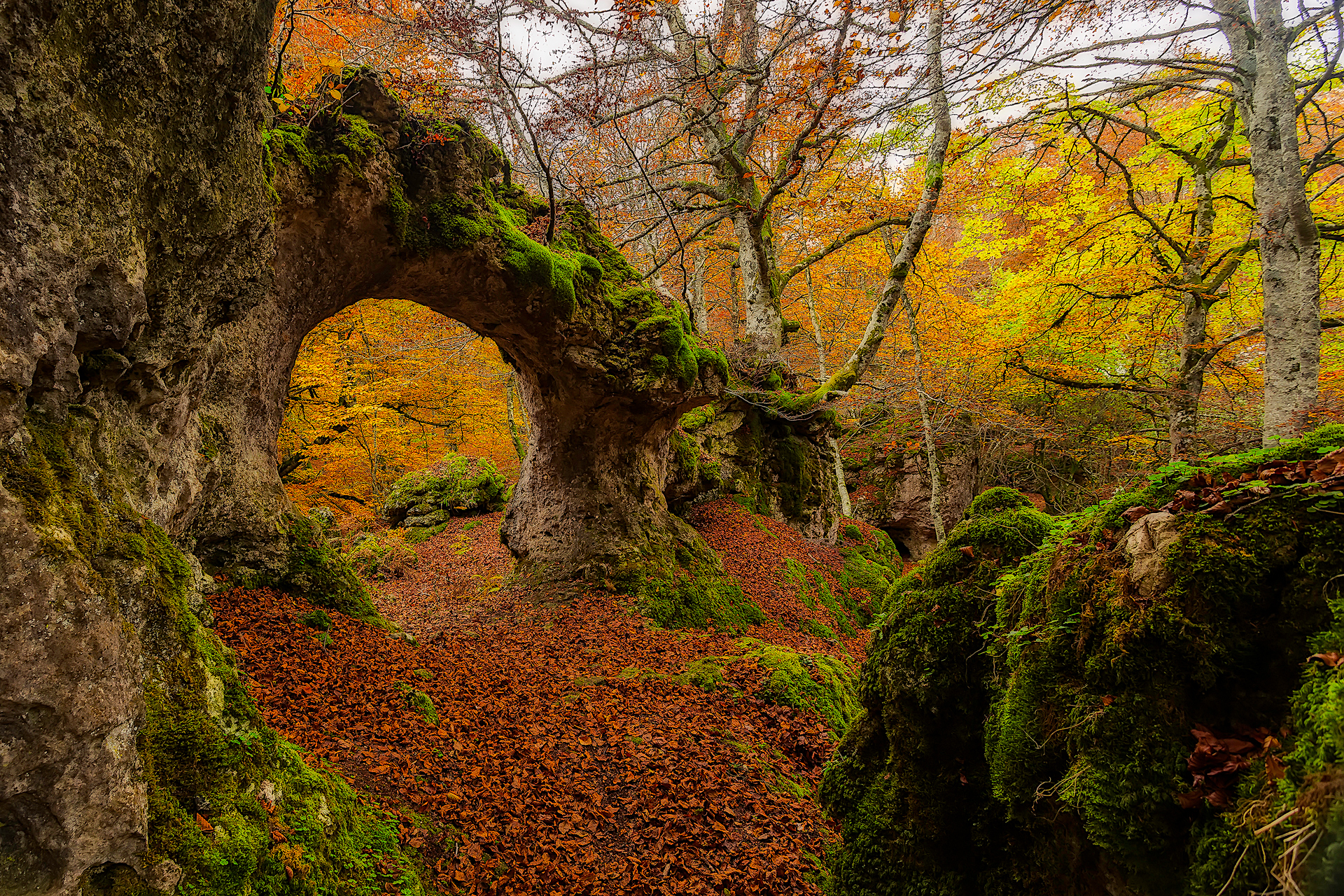 Laden Sie das Natur, Herbst, Wald, Moos, Erde/natur, Felsentor-Bild kostenlos auf Ihren PC-Desktop herunter