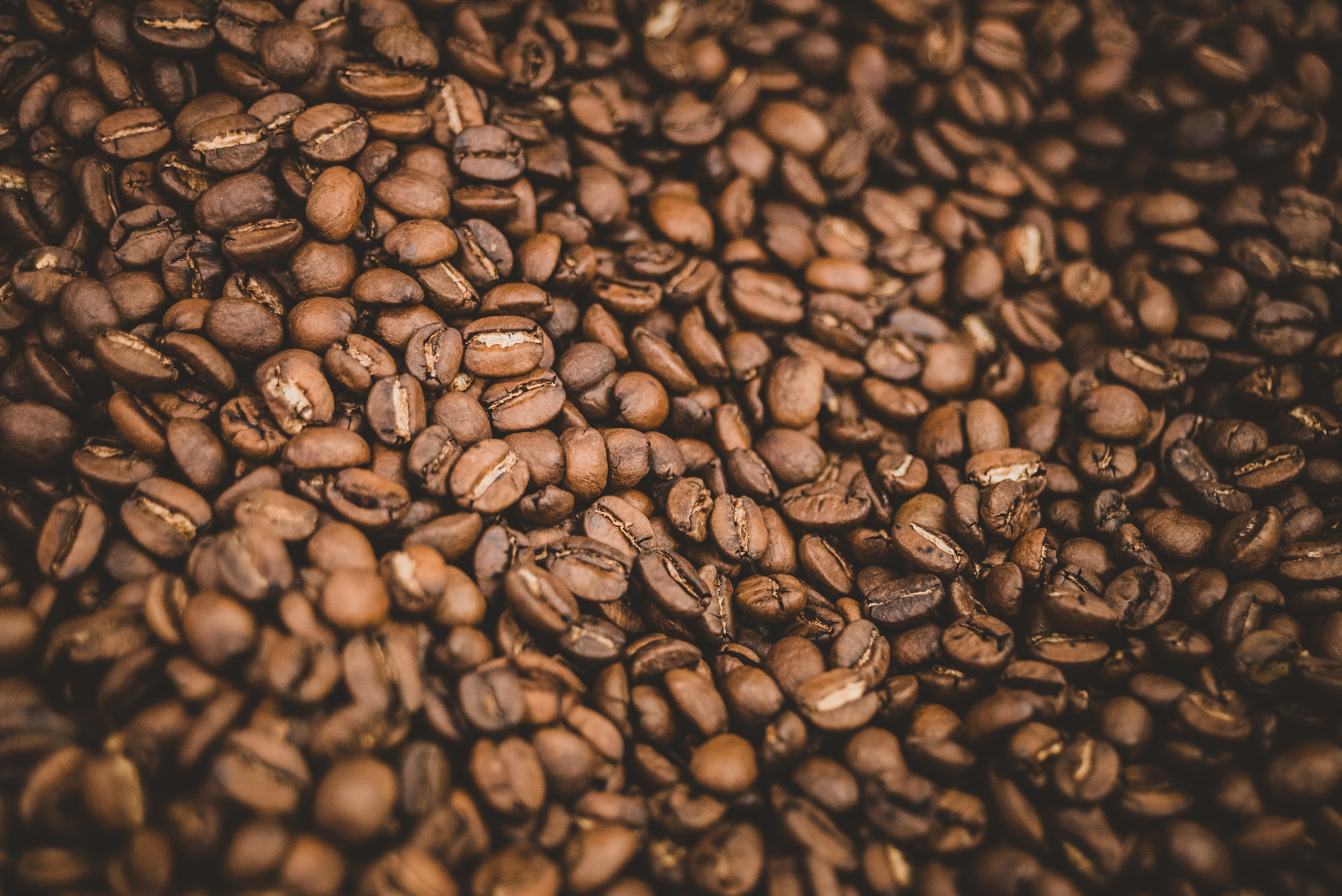 coffee beans, coffee, food, macro, brown, grains, grain cellphone