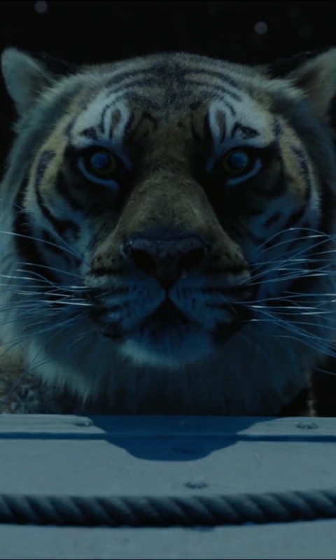 Descarga gratuita de fondo de pantalla para móvil de Tigre, Películas, La Vida De Pi.