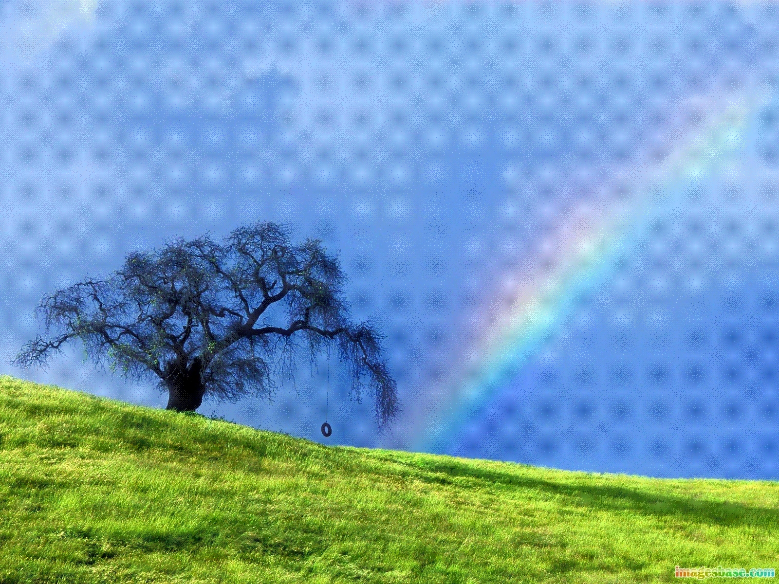 Free download wallpaper Landscape, Grass, Sky, Rainbow, Trees on your PC desktop