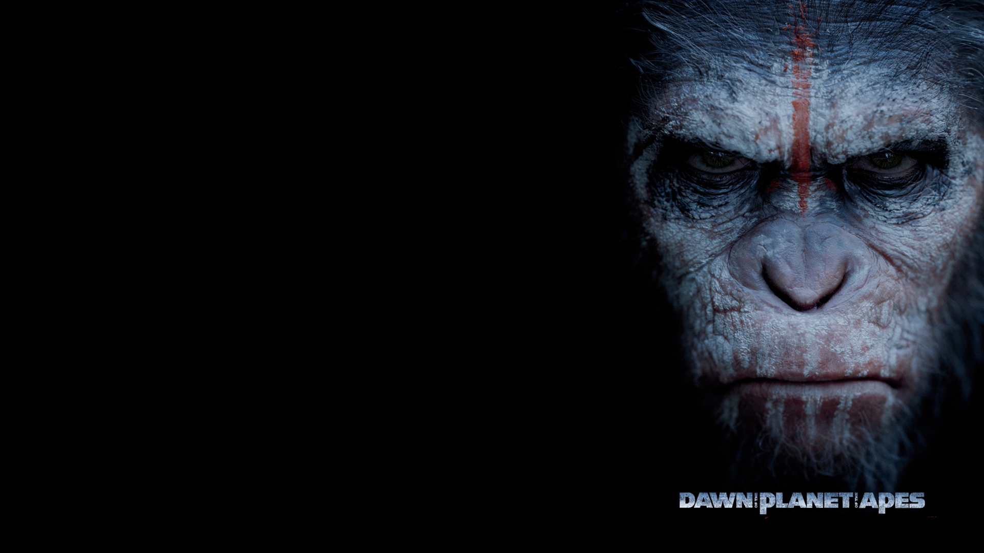 Laden Sie Planet Der Affen: Revolution HD-Desktop-Hintergründe herunter
