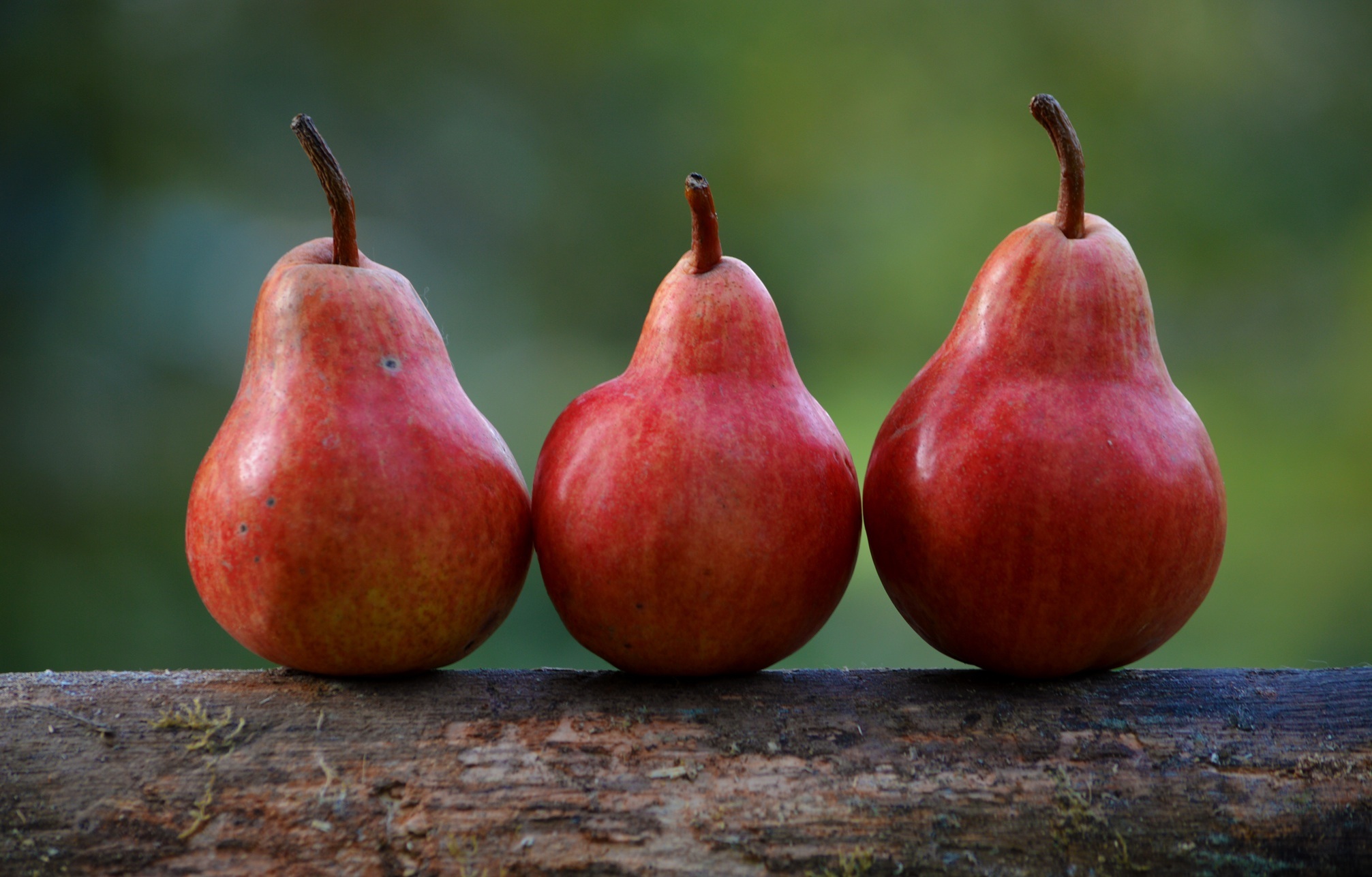 1920 x 1080 picture fruits, food, pears, ripe