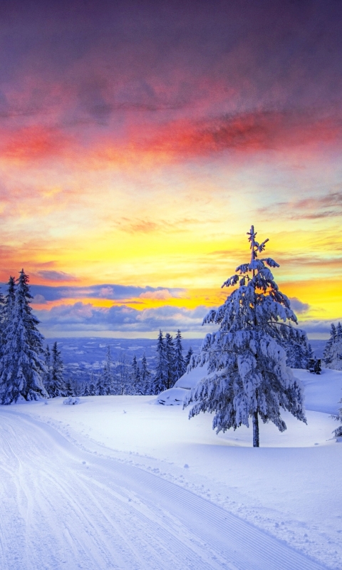 Download mobile wallpaper Landscape, Winter, Sunset, Snow, Road, Tree, Earth for free.