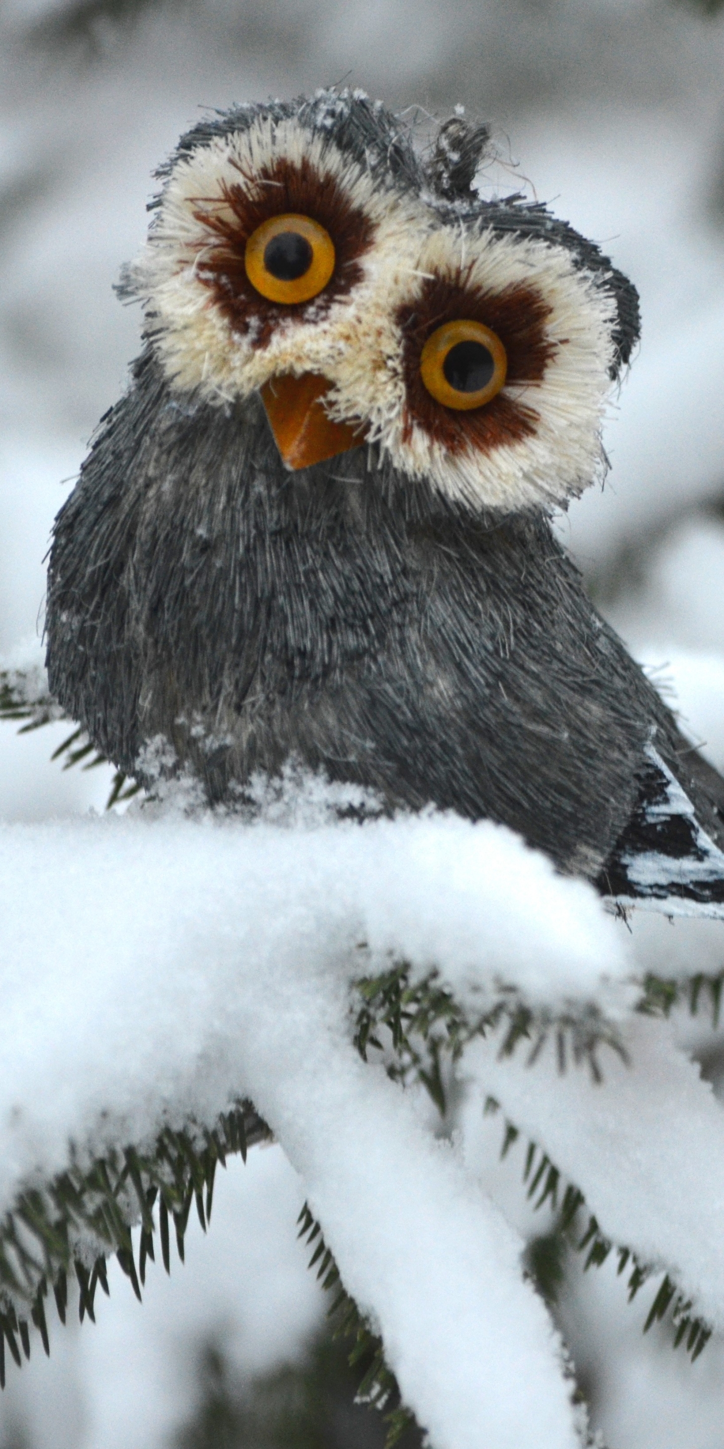 PCデスクトップに動物, 冬, 鳥, フクロウ, 雪画像を無料でダウンロード
