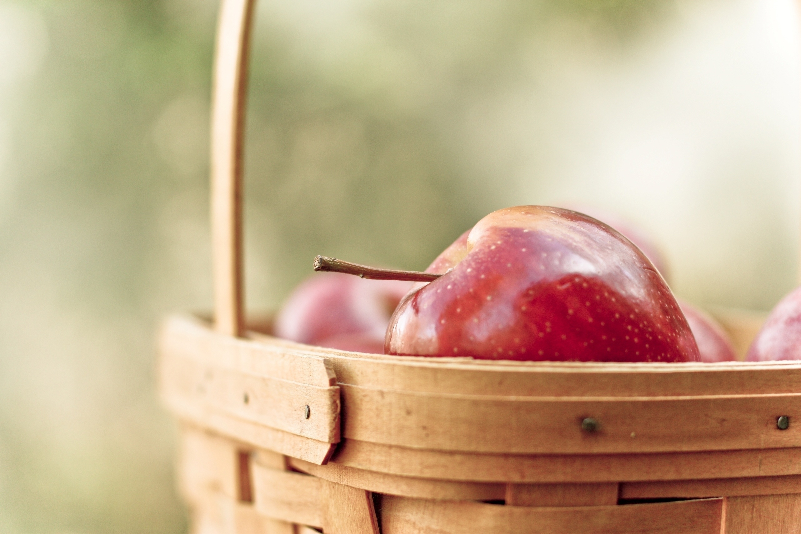 Download mobile wallpaper Basket, Ripe, Fruit, Food, Apple for free.