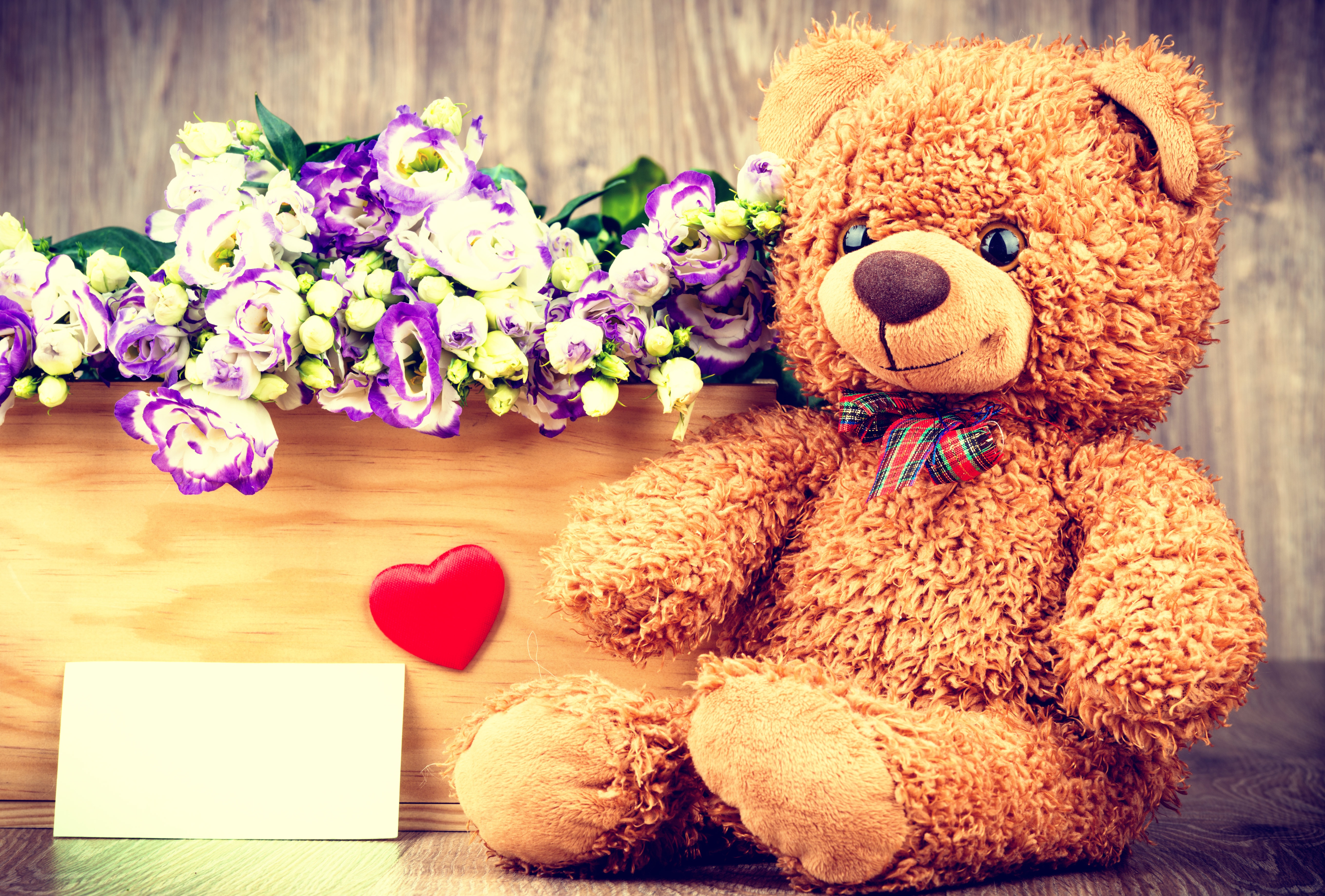 Handy-Wallpaper Teddybär, Blume, Menschengemacht, Kuscheltier kostenlos herunterladen.