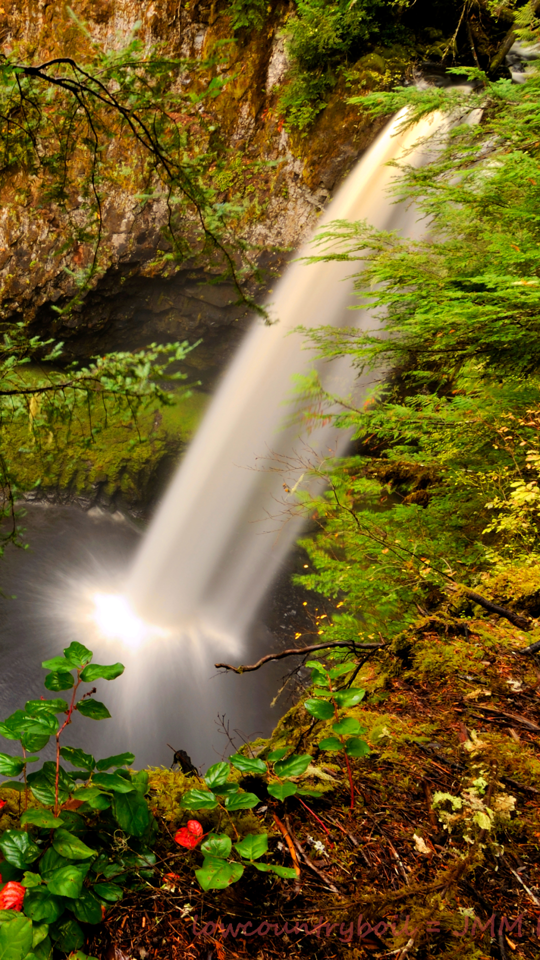 Descarga gratuita de fondo de pantalla para móvil de Cascadas, Cascada, Bosque, Hoja, Tierra/naturaleza.