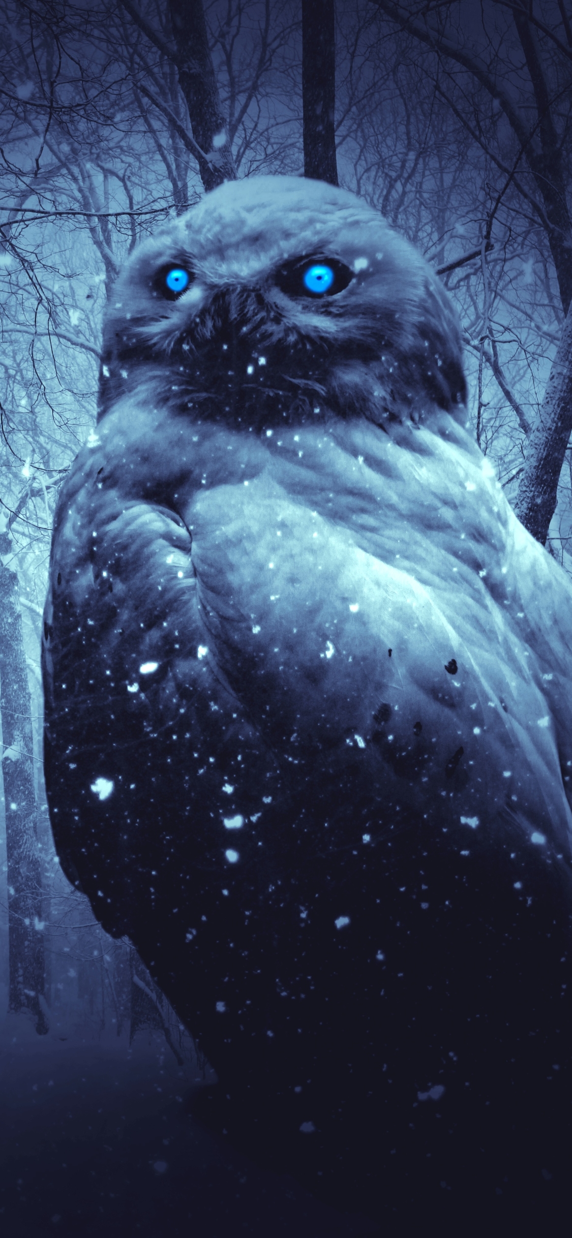 Download mobile wallpaper Fantasy, Owl, Bird, Snowfall, Blue Eyes, Fantasy Animals for free.