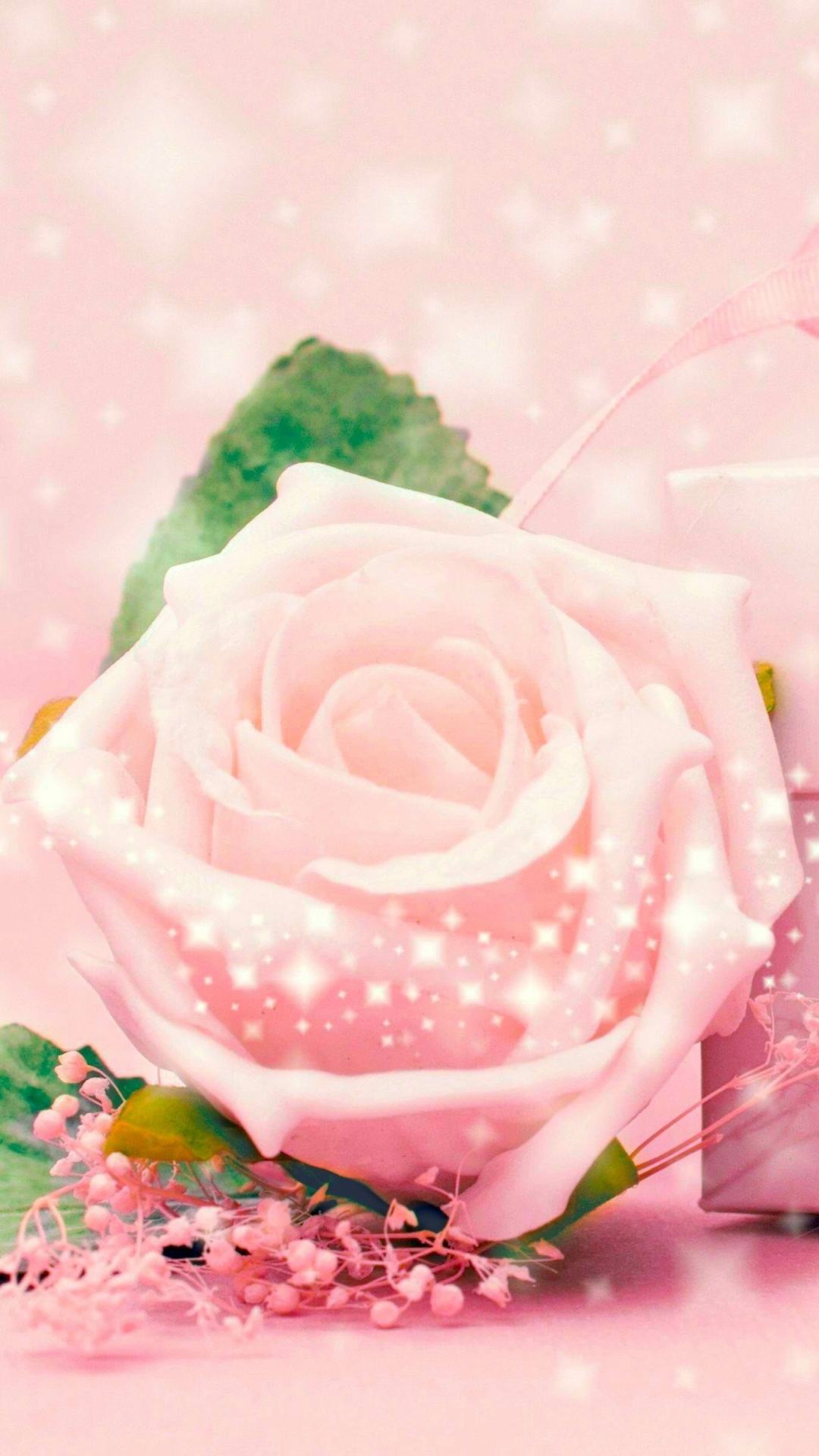 Download mobile wallpaper Nature, Flowers, Pink, Flower, Rose, Earth for free.