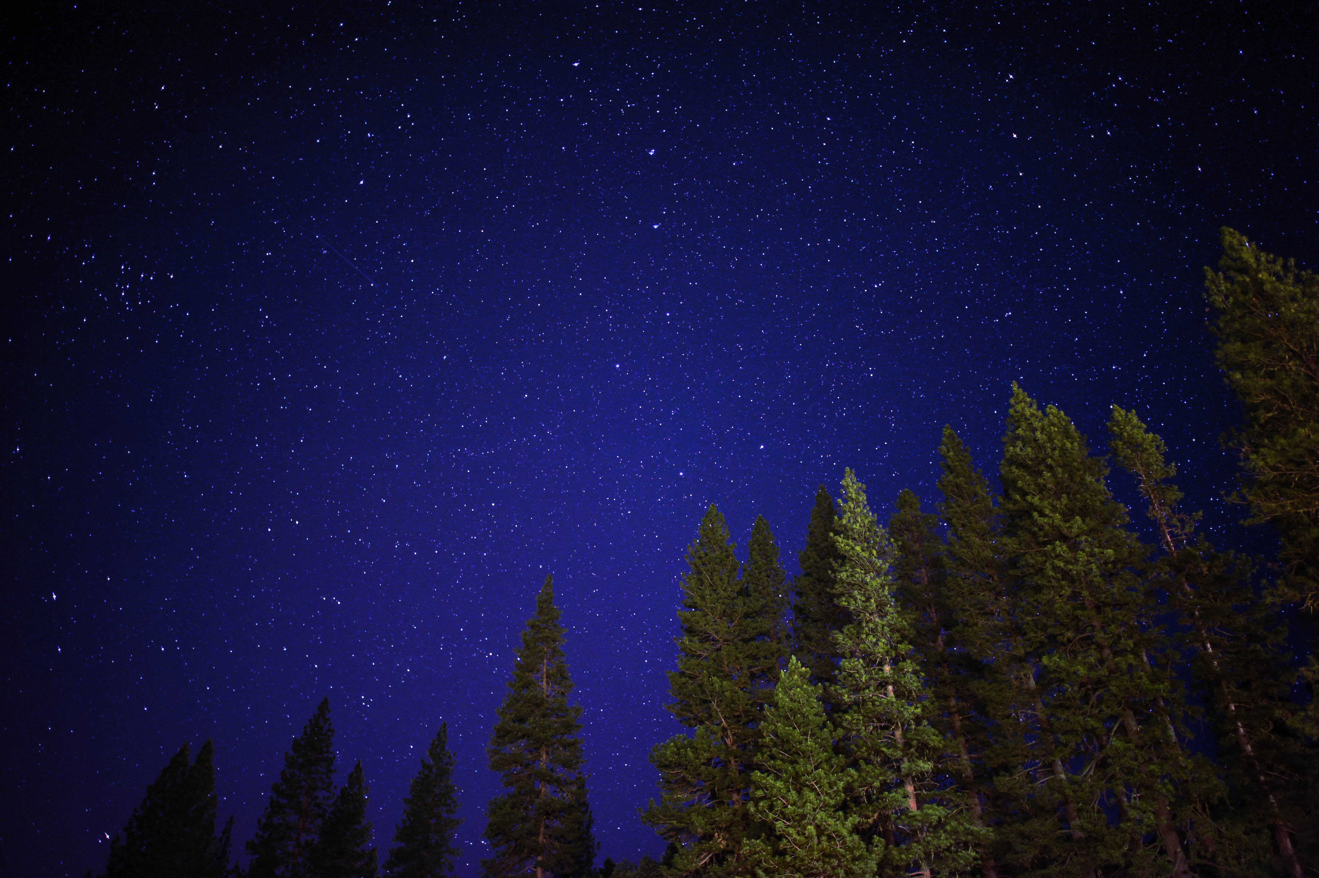 Free download wallpaper Trees, Sky, Shining, Starry Sky, Nature, Night on your PC desktop