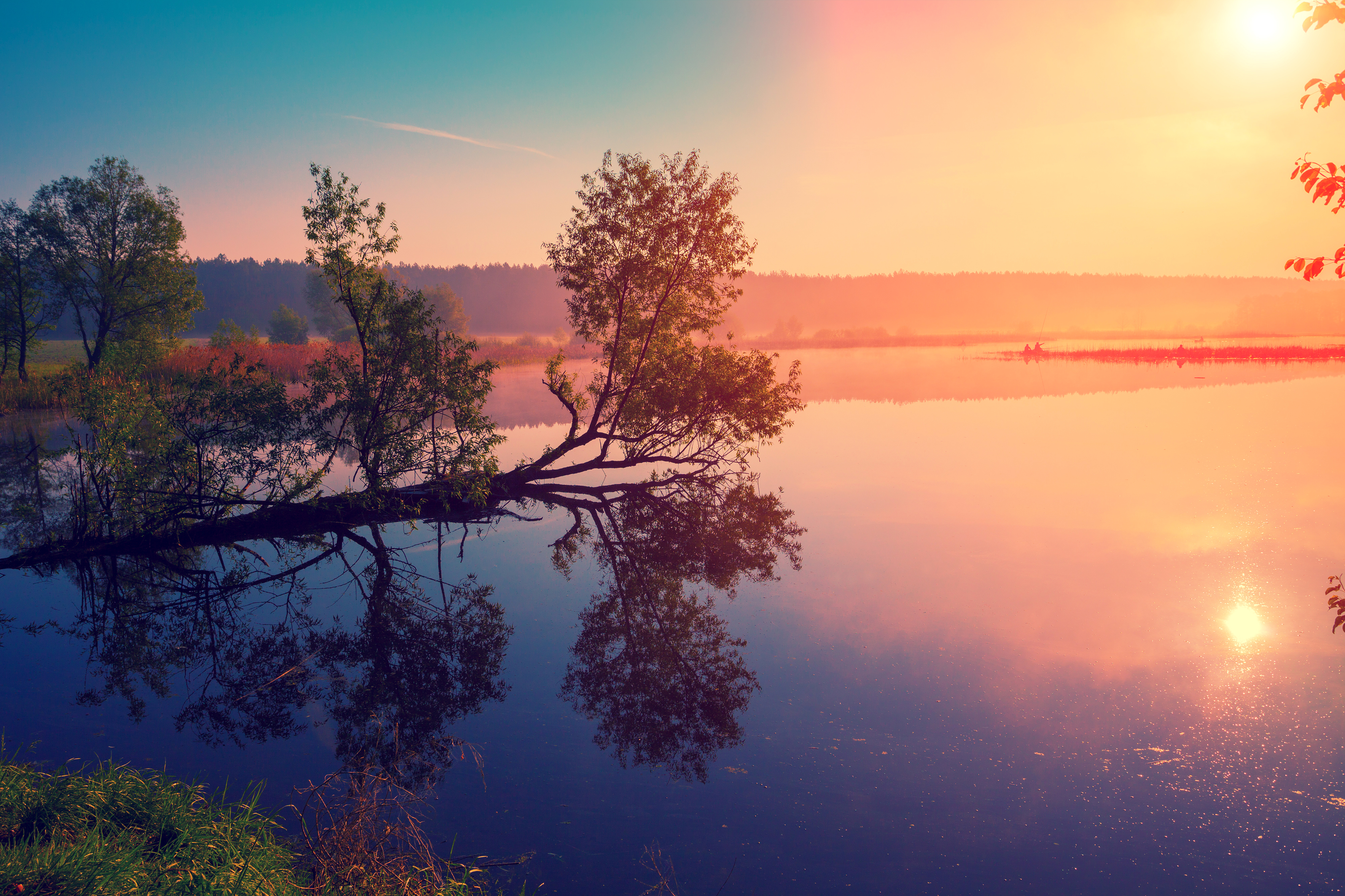 Téléchargez gratuitement l'image Lac, Arbre, La Nature, Terre/nature, Lever De Soleil, Réflection sur le bureau de votre PC