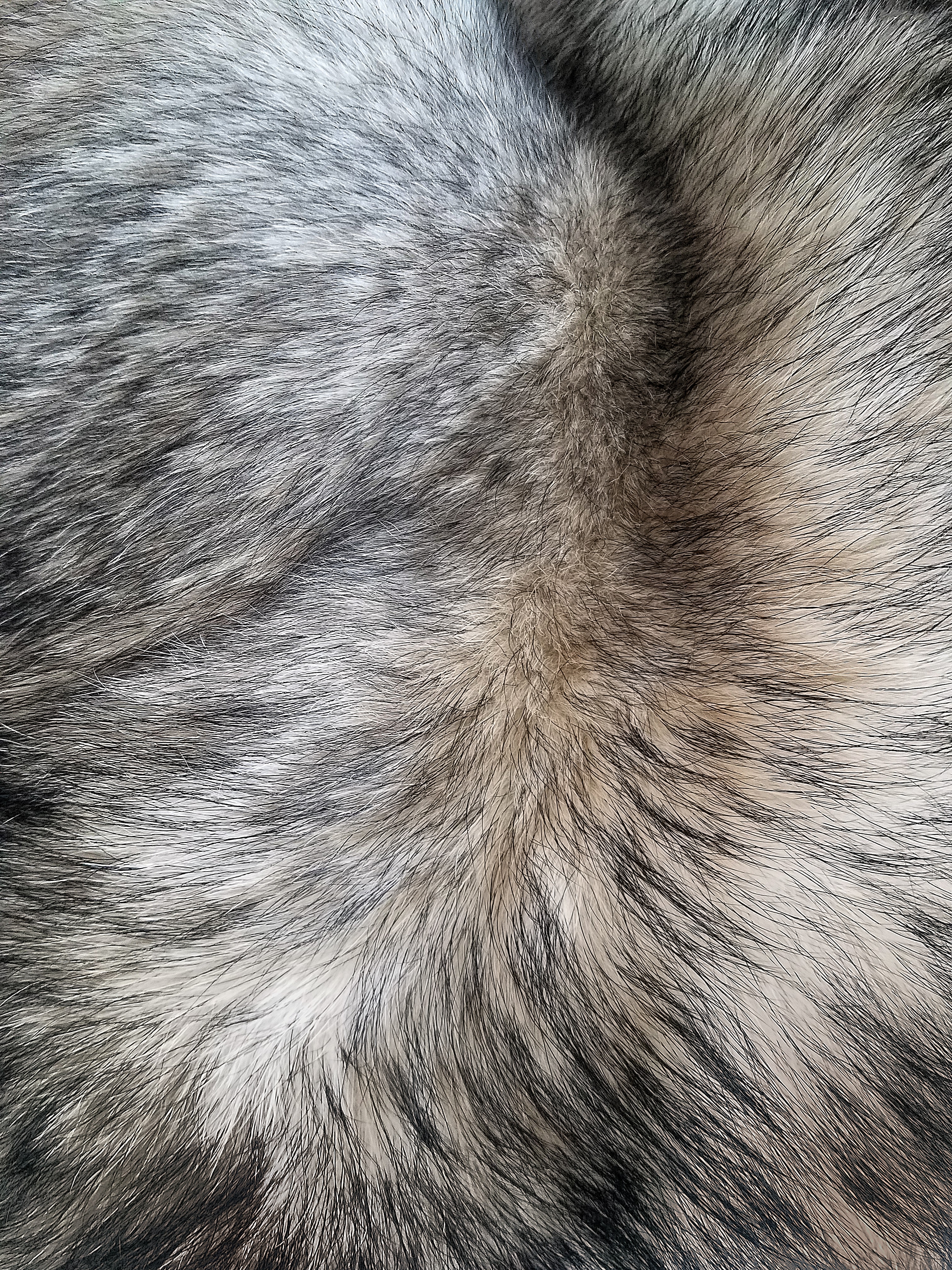 Download mobile wallpaper Wool, Textures, Texture, Hair for free.