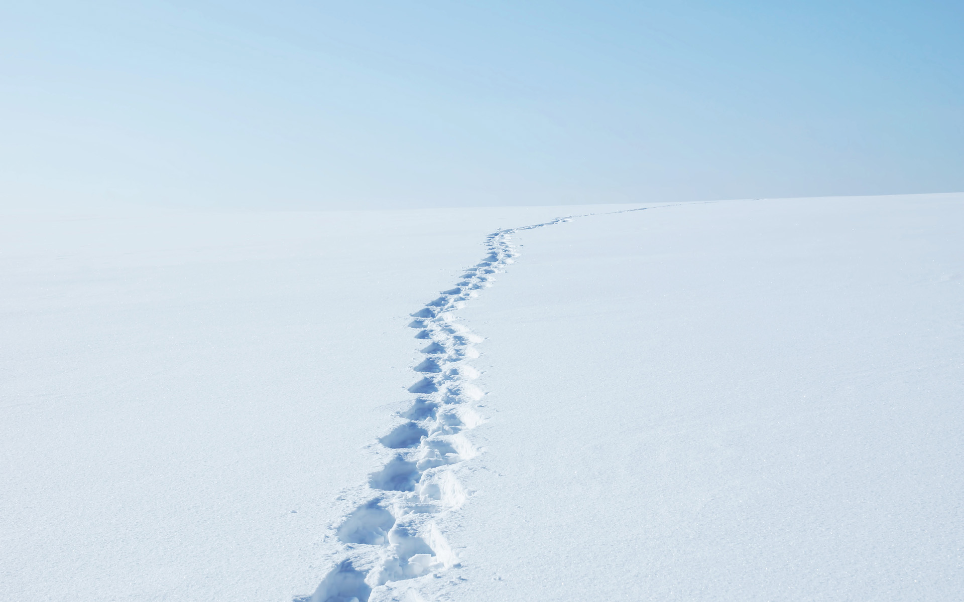 Free download wallpaper Winter, Snow, Earth, Tracks on your PC desktop