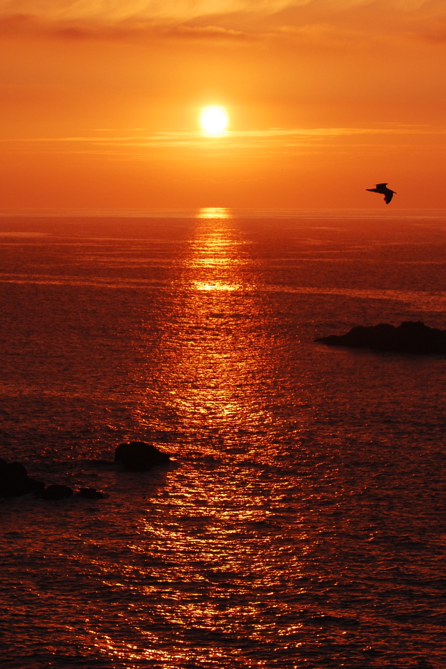 Download mobile wallpaper Sunset, Sea, Ocean, Earth, Orange (Color) for free.