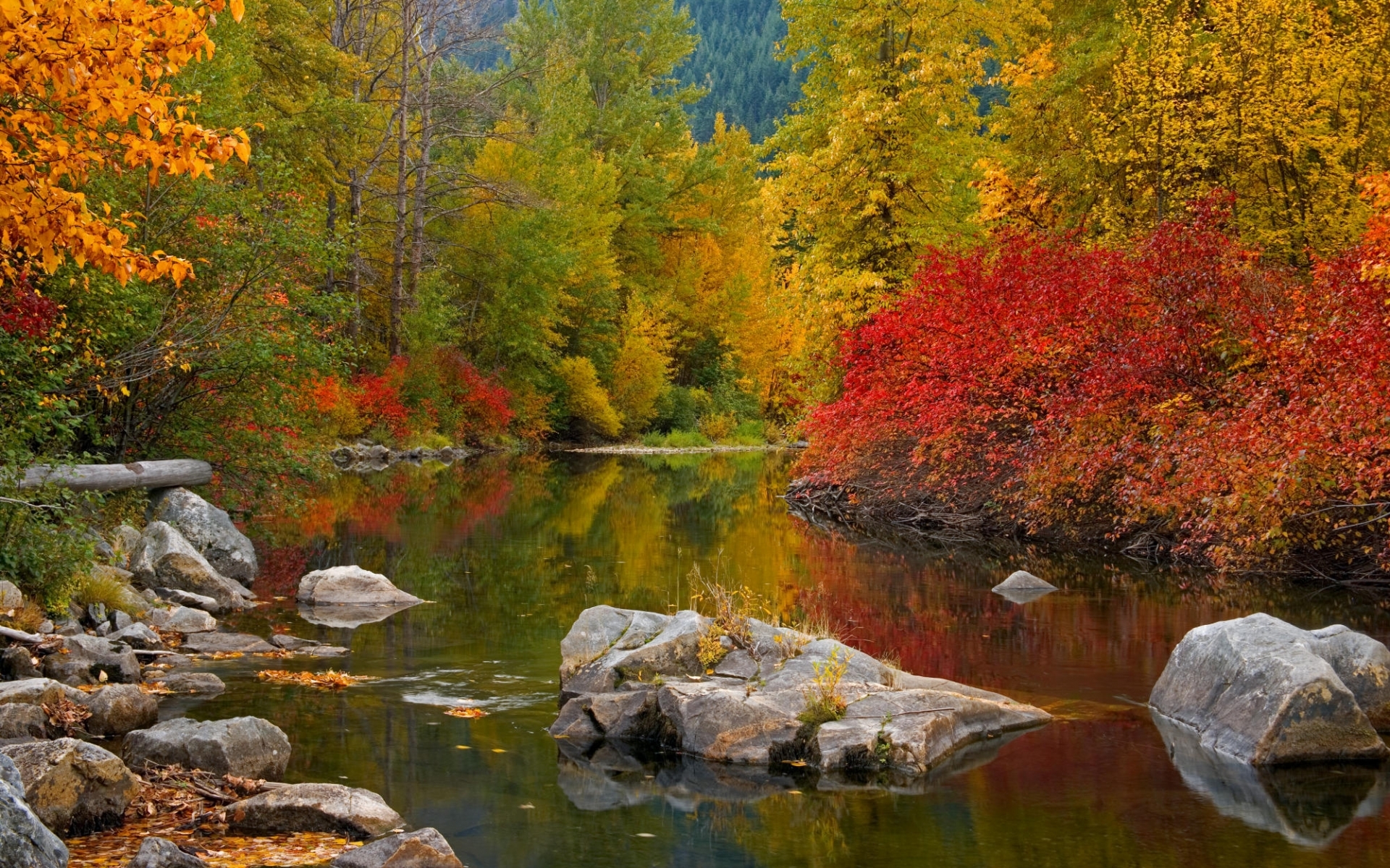 Скачать обои бесплатно Пейзаж, Камни, Река, Осень картинка на рабочий стол ПК