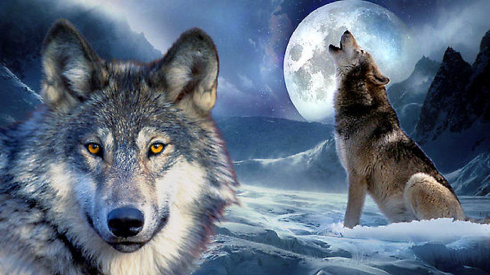 Скачать обои бесплатно Животные, Луна, Волк картинка на рабочий стол ПК