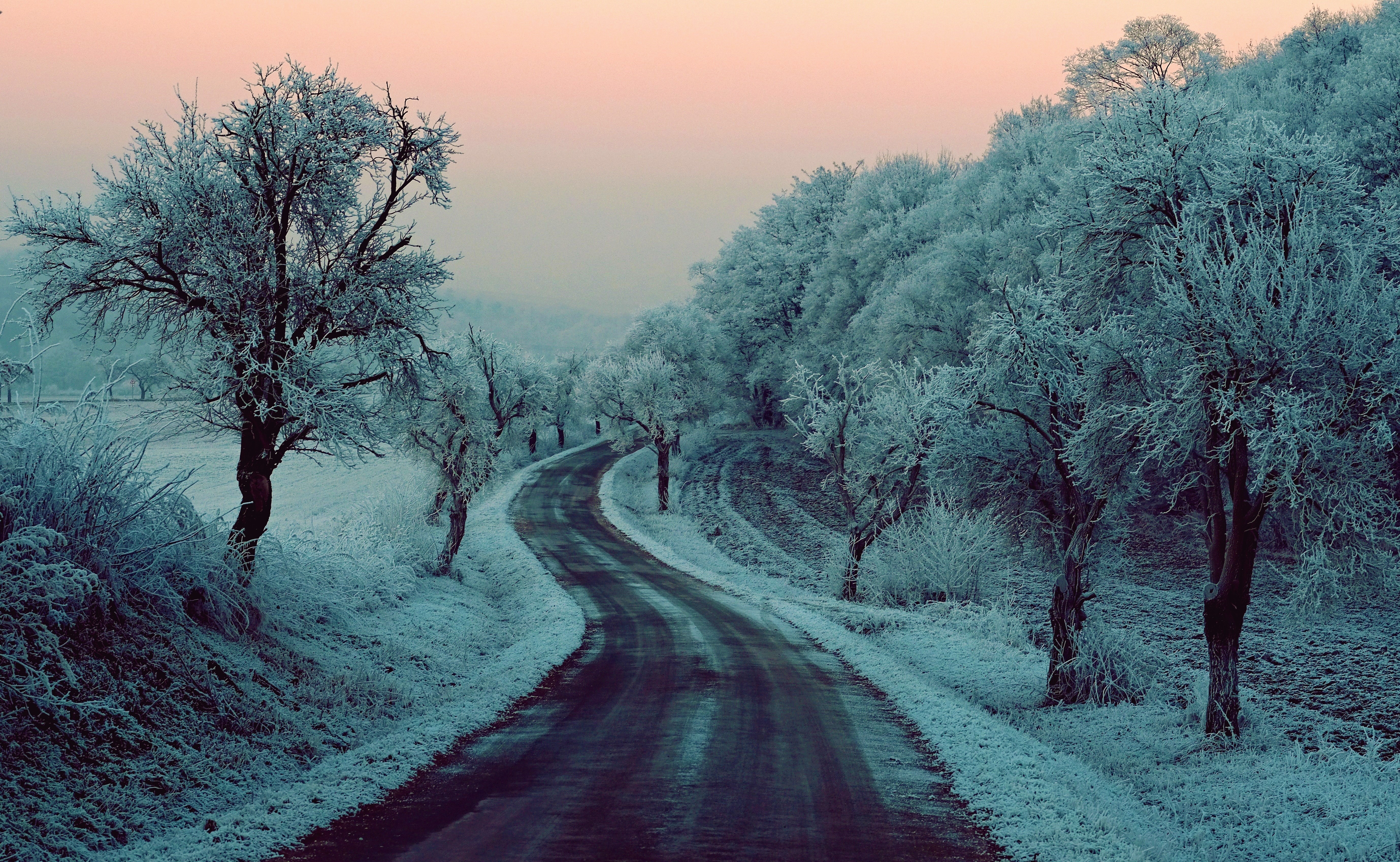 Скачать картинку Зима, Снег, Дорога, Дерево, Земля/природа в телефон бесплатно.
