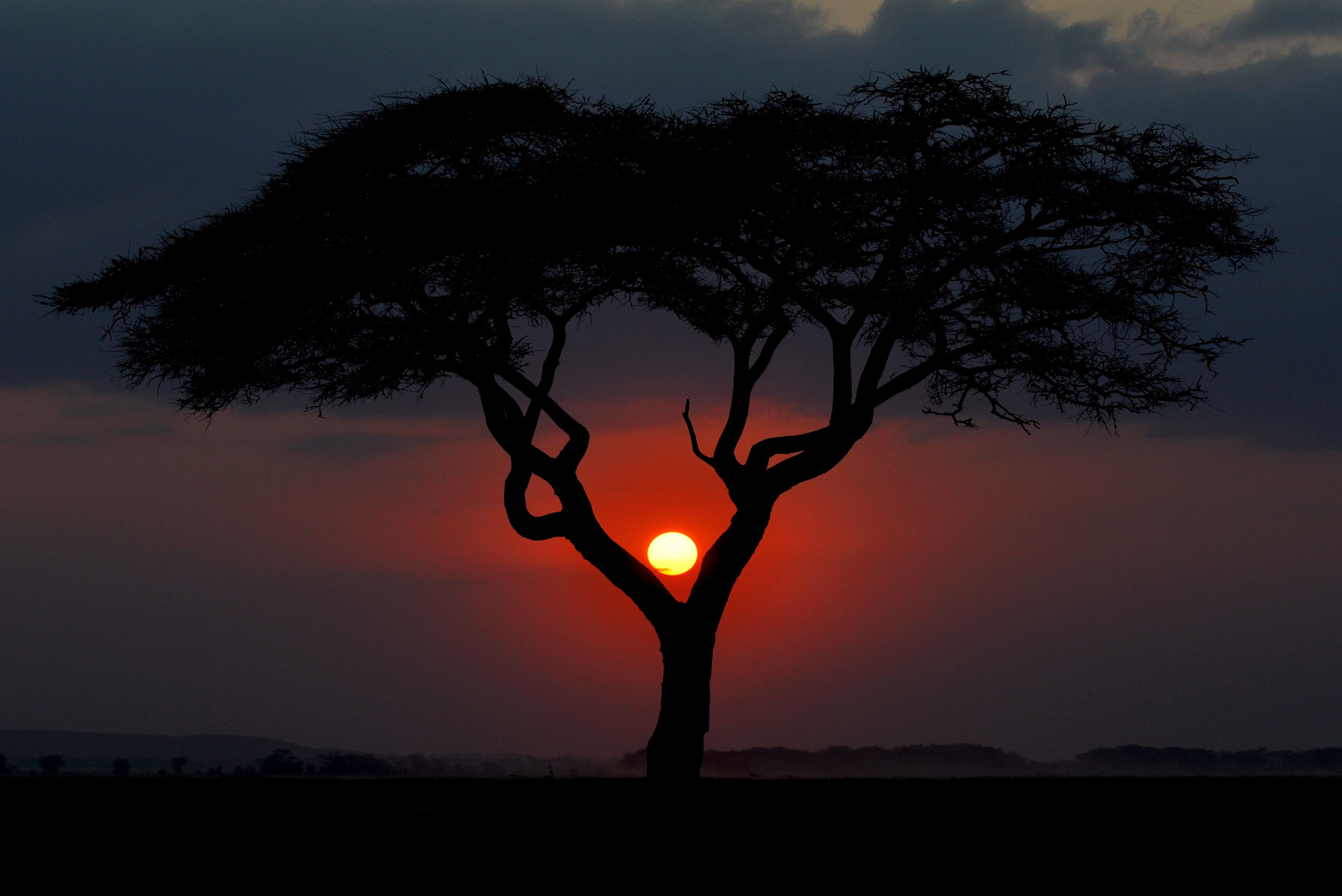 Free download wallpaper Sunset, Earth on your PC desktop