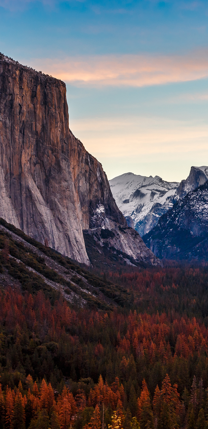 Download mobile wallpaper Forest, Fall, Earth, Cliff, National Park, Yosemite National Park, Yosemite Falls for free.