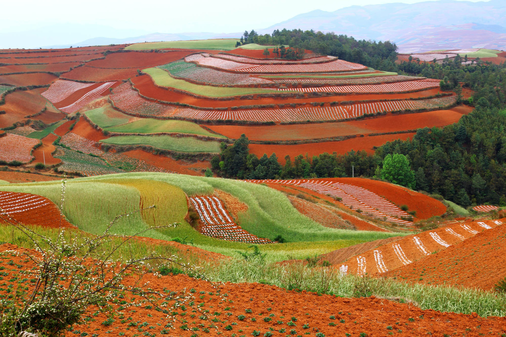 Baixe gratuitamente a imagem Paisagem, Terra/natureza na área de trabalho do seu PC