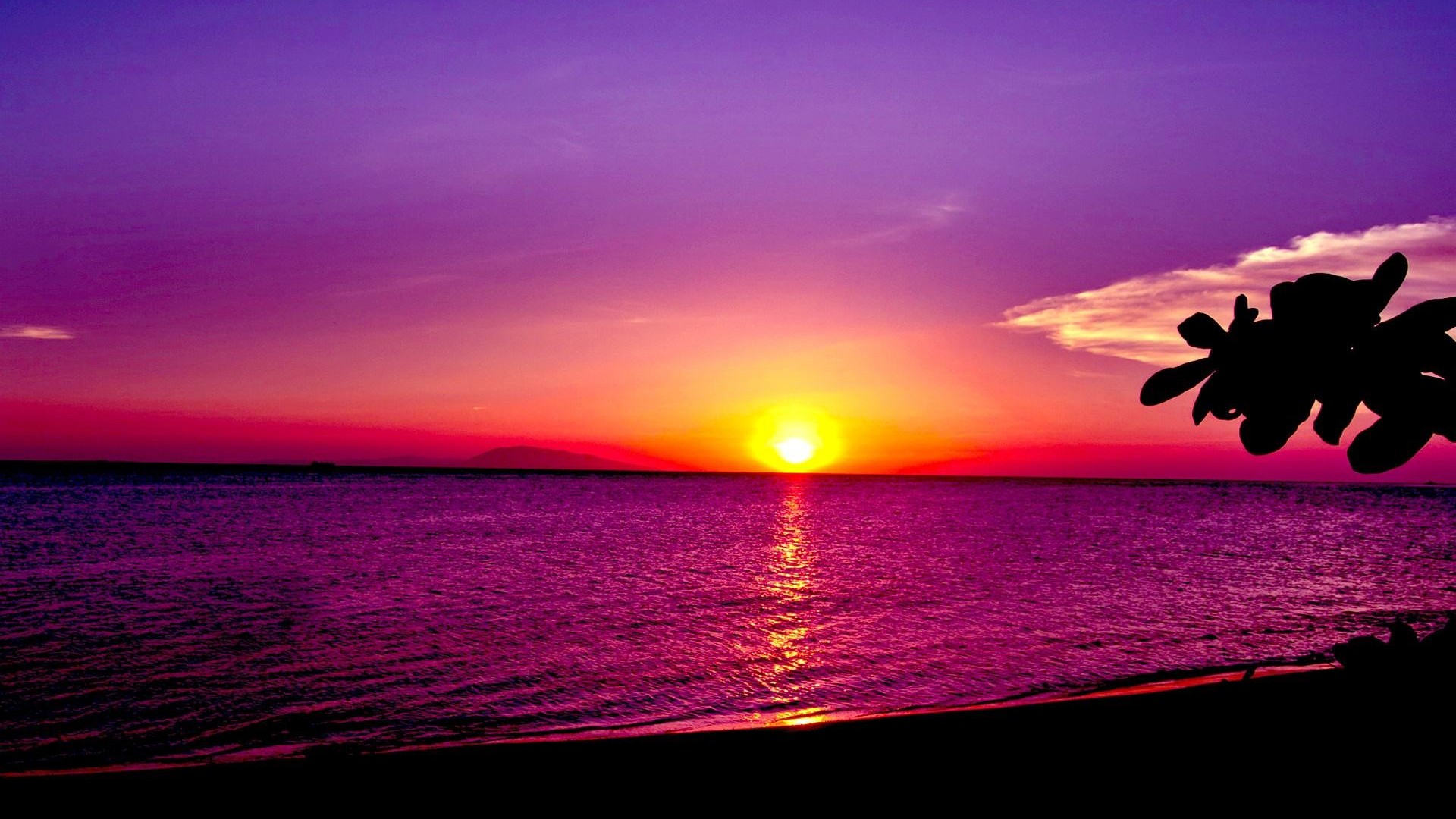 Download mobile wallpaper Sunset, Sky, Sun, Ocean, Earth, Purple for free.