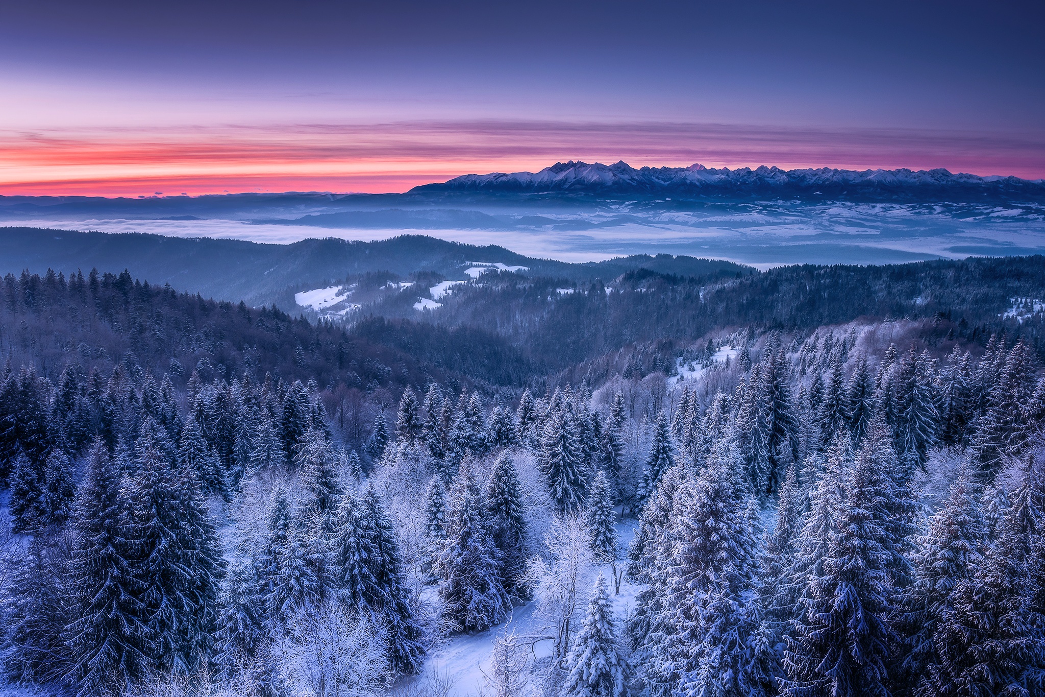 Download mobile wallpaper Landscape, Winter, Nature, Snow, Mountain, Forest, Earth for free.