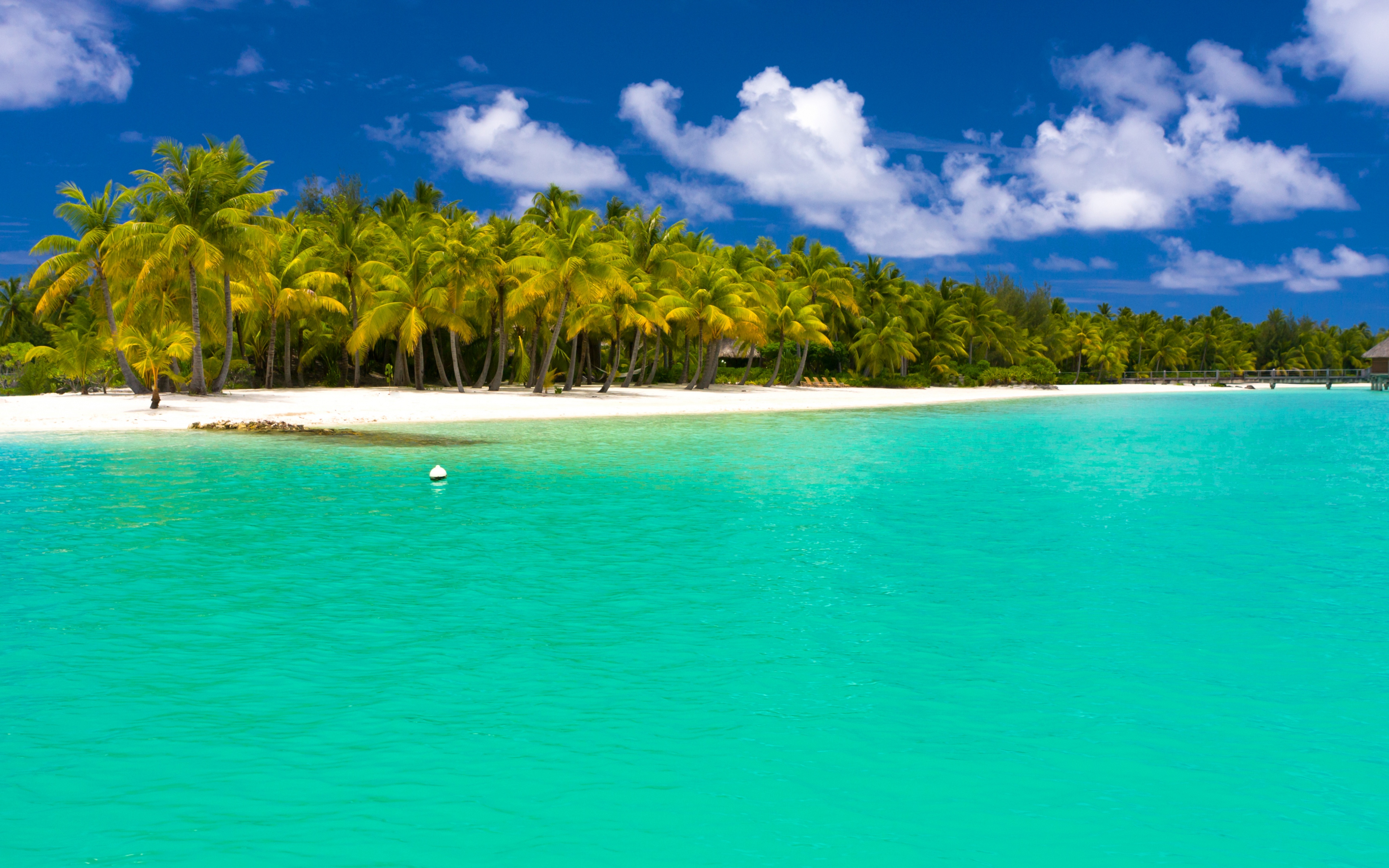 Скачать картинку Море, Пляж, Пальмы, Океан, Мальдивы, Фотографии, Бирюзовый в телефон бесплатно.