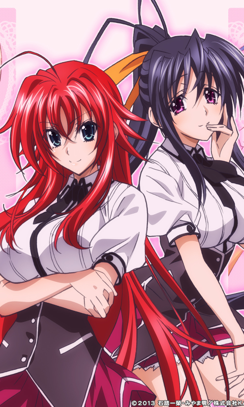 Download mobile wallpaper Anime, High School Dxd for free.