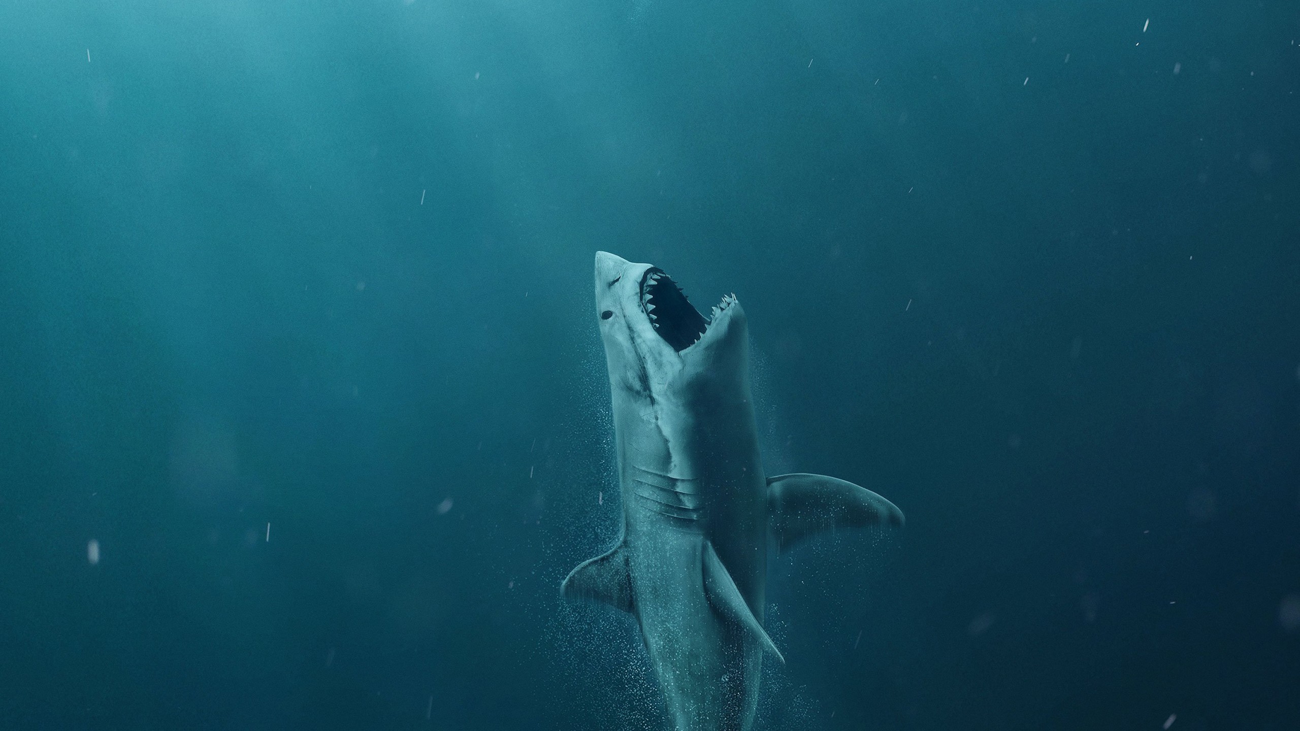 916155 скачать обои акула, кино, мег: монстр глубины - заставки и картинки бесплатно