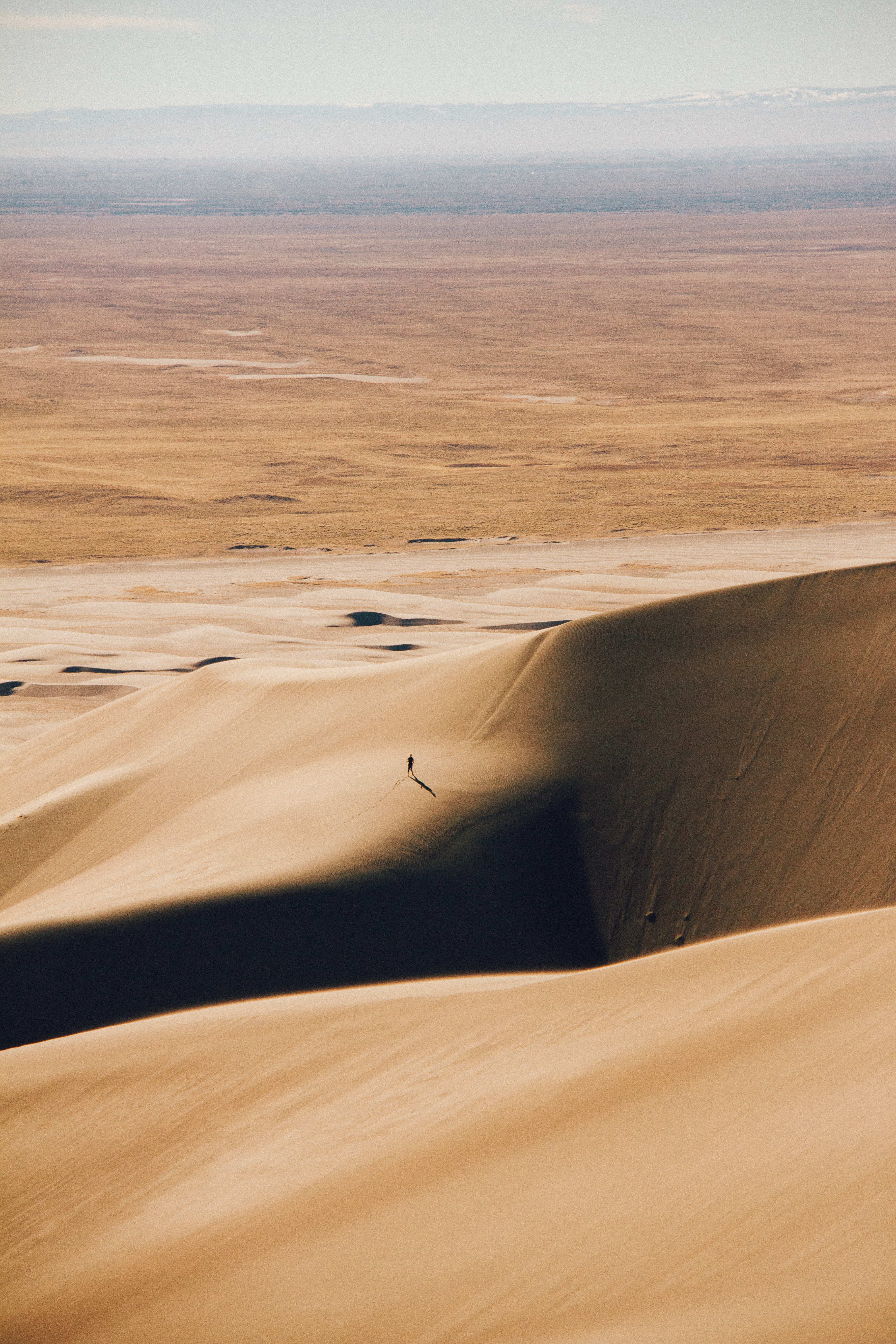 nature, desert, silhouette, relief, dunes, links Free Stock Photo