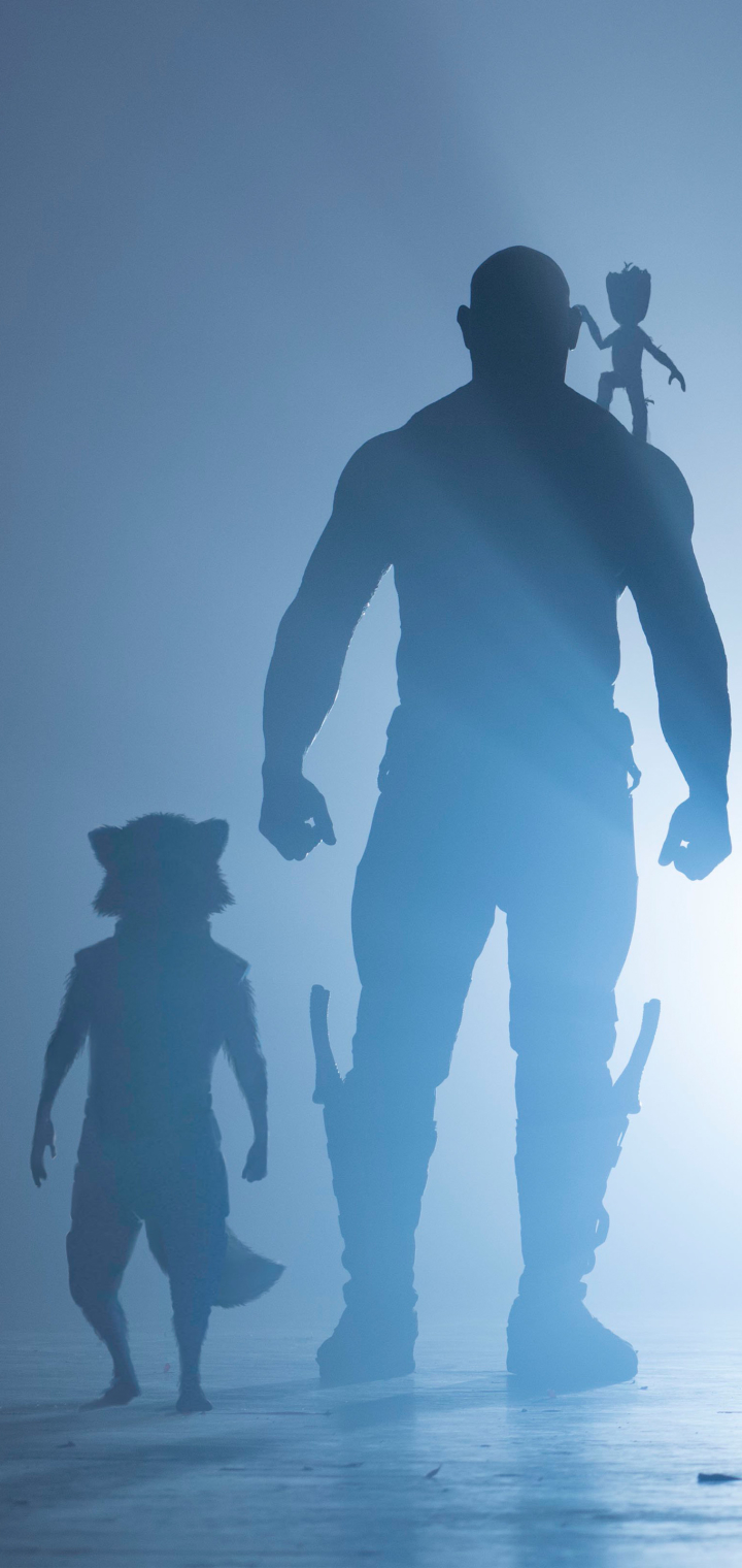 Download mobile wallpaper Movie, Rocket Raccoon, Drax The Destroyer, Groot, Dave Bautista, Guardians Of The Galaxy Vol 2 for free.