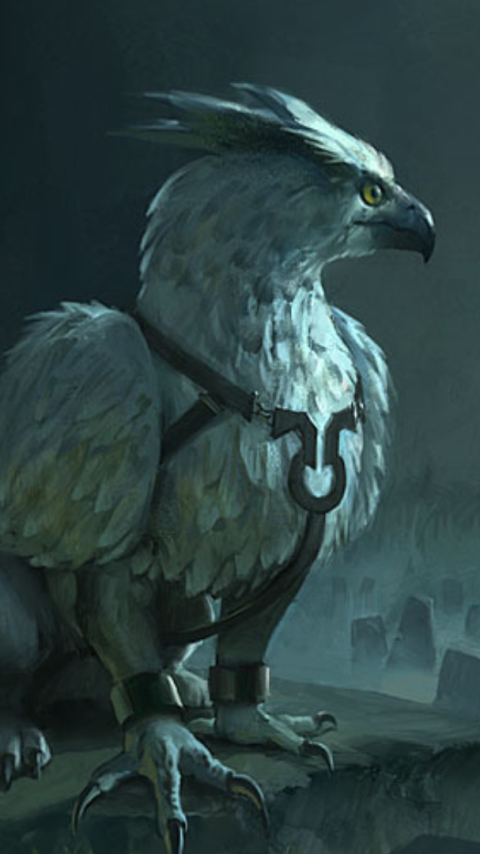 Download mobile wallpaper Fantasy, Creature, Griffin, Fantasy Animals for free.