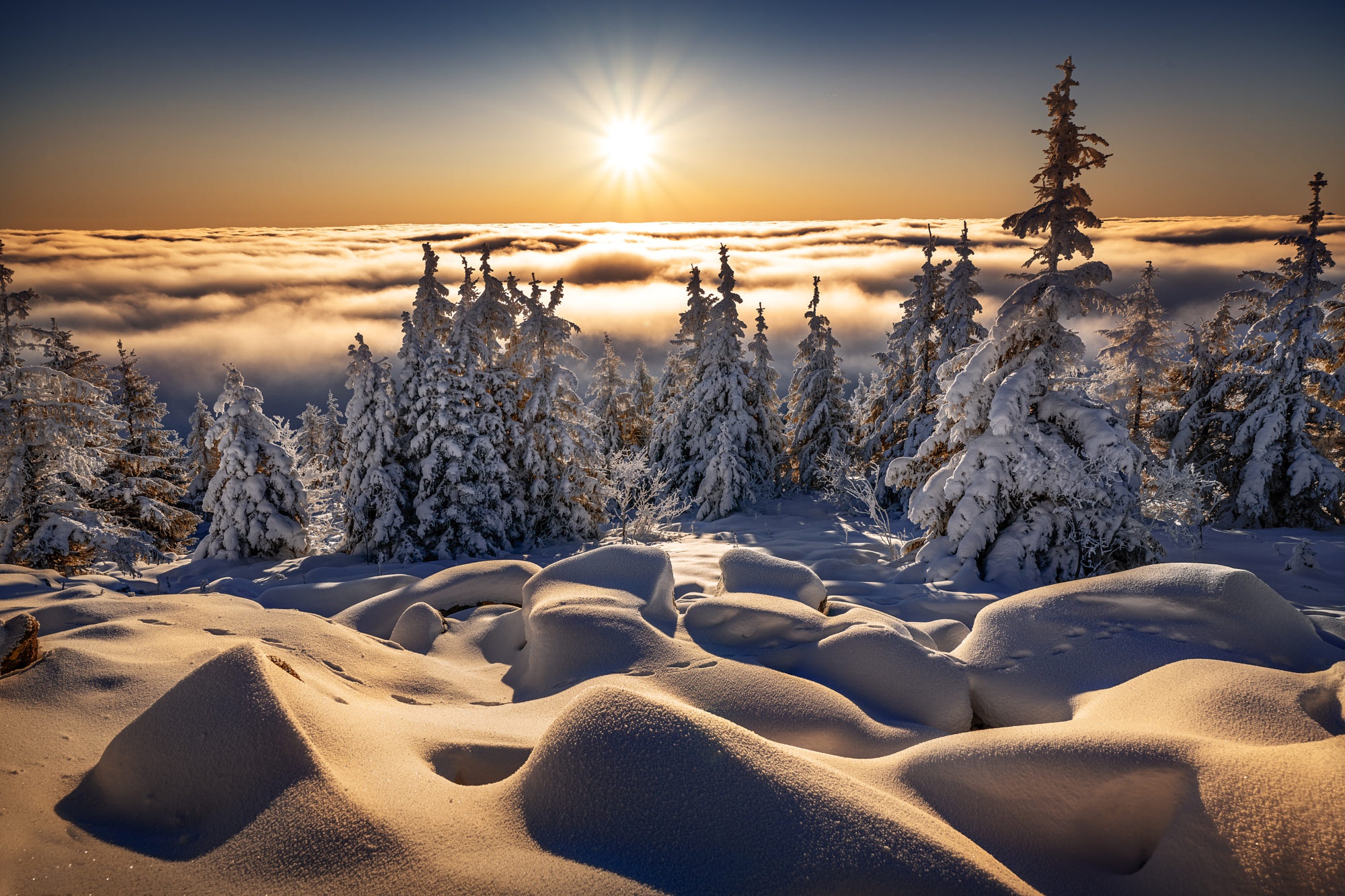 Baixe gratuitamente a imagem Paisagem, Inverno, Natureza, Sol, Neve, Terra/natureza, Neblina, Raio Solar na área de trabalho do seu PC