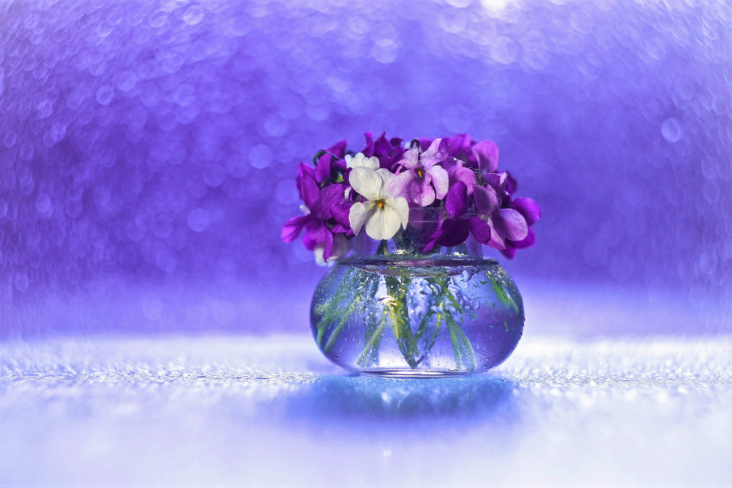 Téléchargez gratuitement l'image Fleur, Vase, Bokeh, Photographie, Pensée, Fleur Mauve, Nature Morte sur le bureau de votre PC