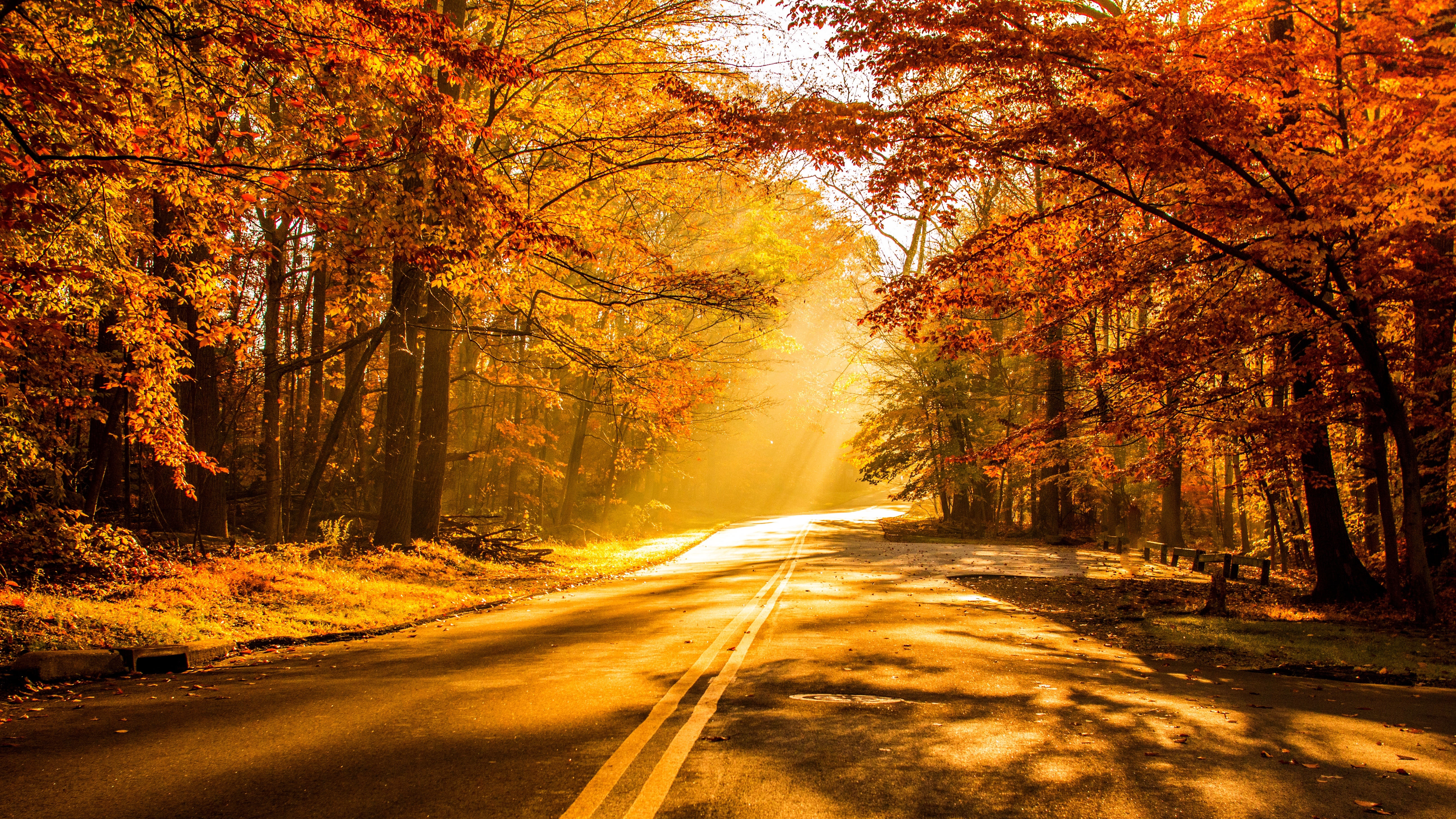 Baixe gratuitamente a imagem Outono, Estrada, Feito Pelo Homem, Raio Solar, Brilho Do Sol na área de trabalho do seu PC