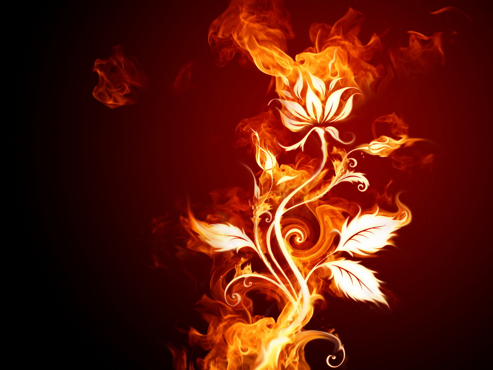 Download mobile wallpaper Elemental, Flowers, Flower, Fire, Artistic for free.