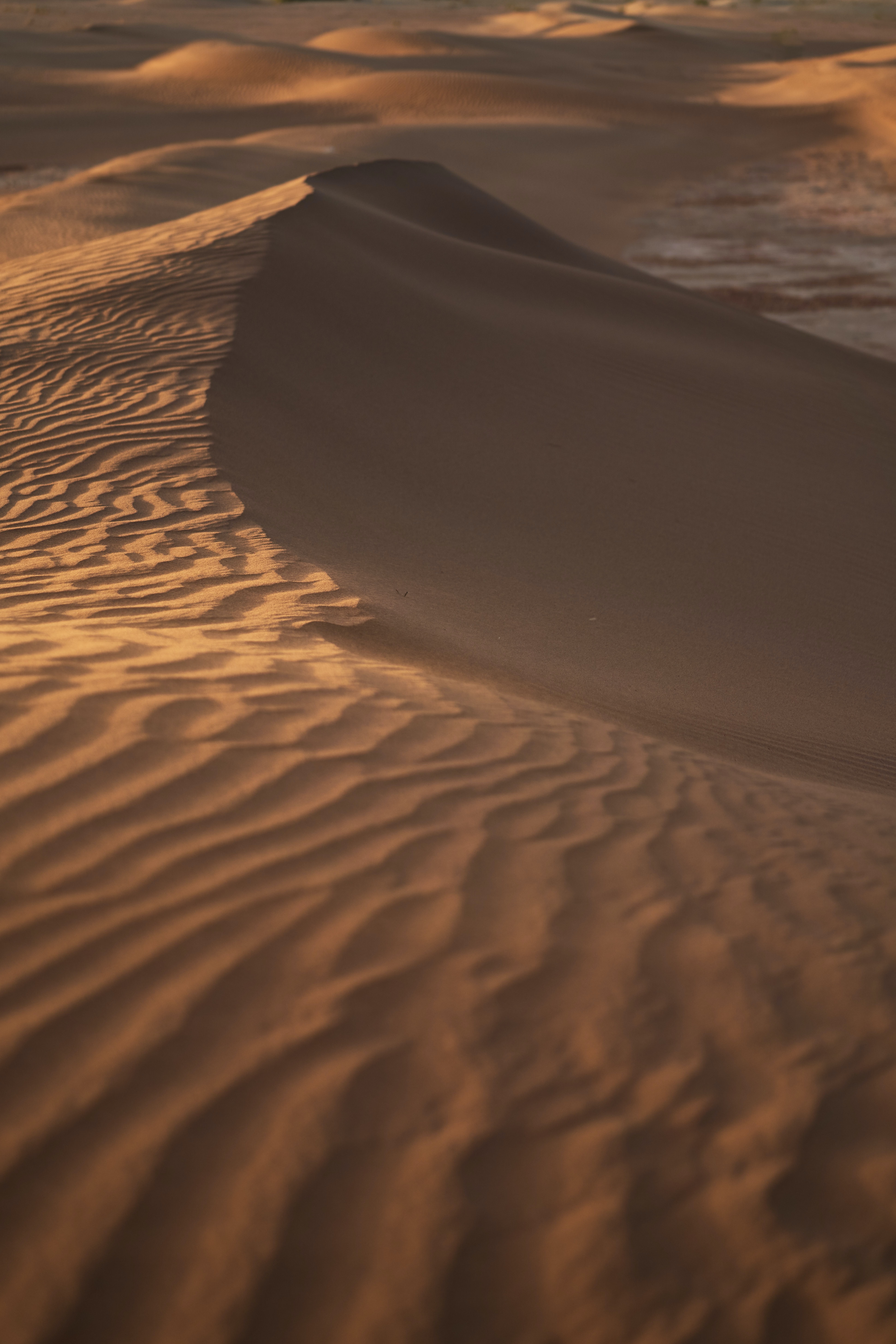 156537 descargar fondo de pantalla desierto, ondulado, naturaleza, arena, dunas, enlaces: protectores de pantalla e imágenes gratis