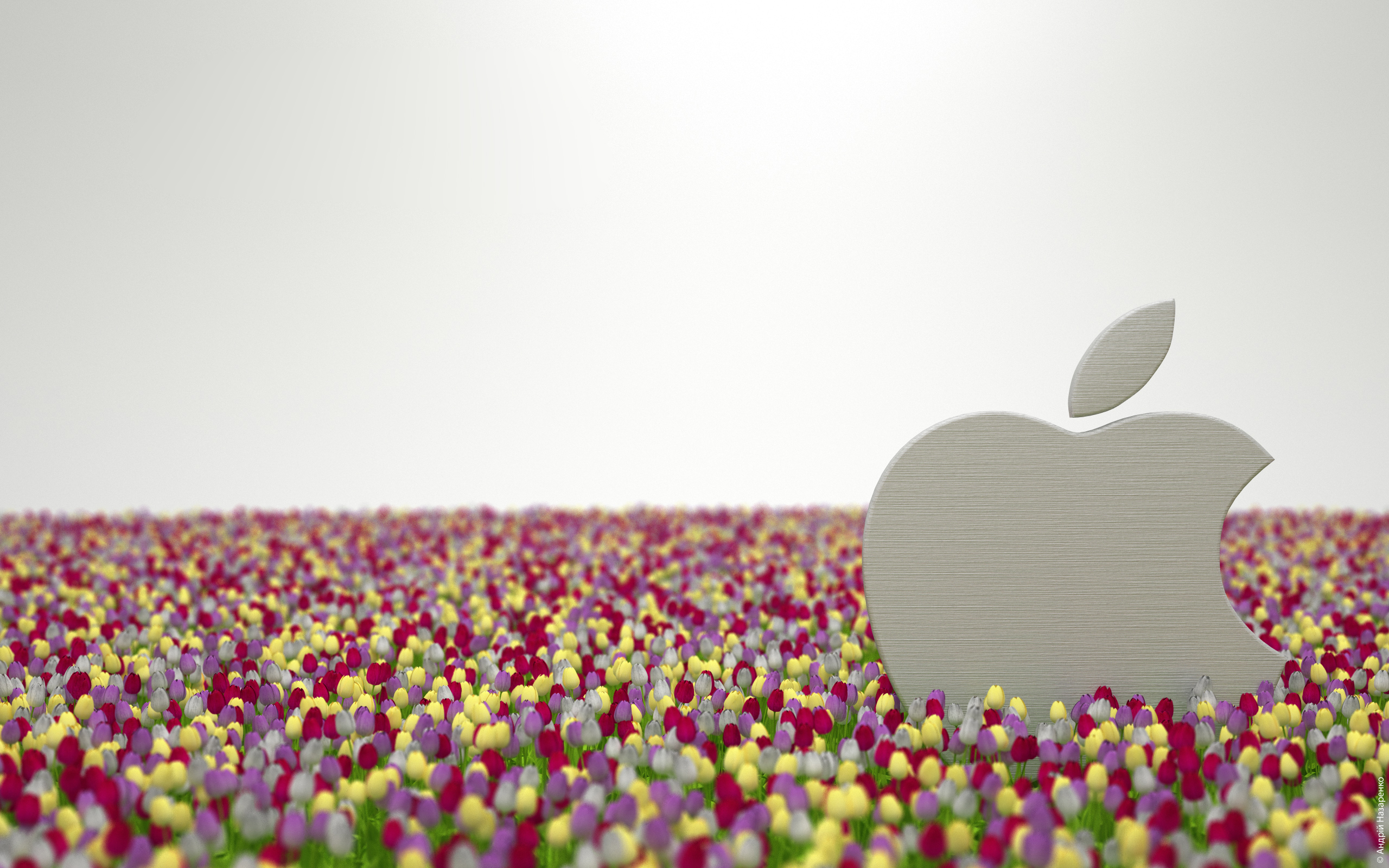 Скачать картинку Растения, Цветы, Apple, Бренды, Логотипы в телефон бесплатно.