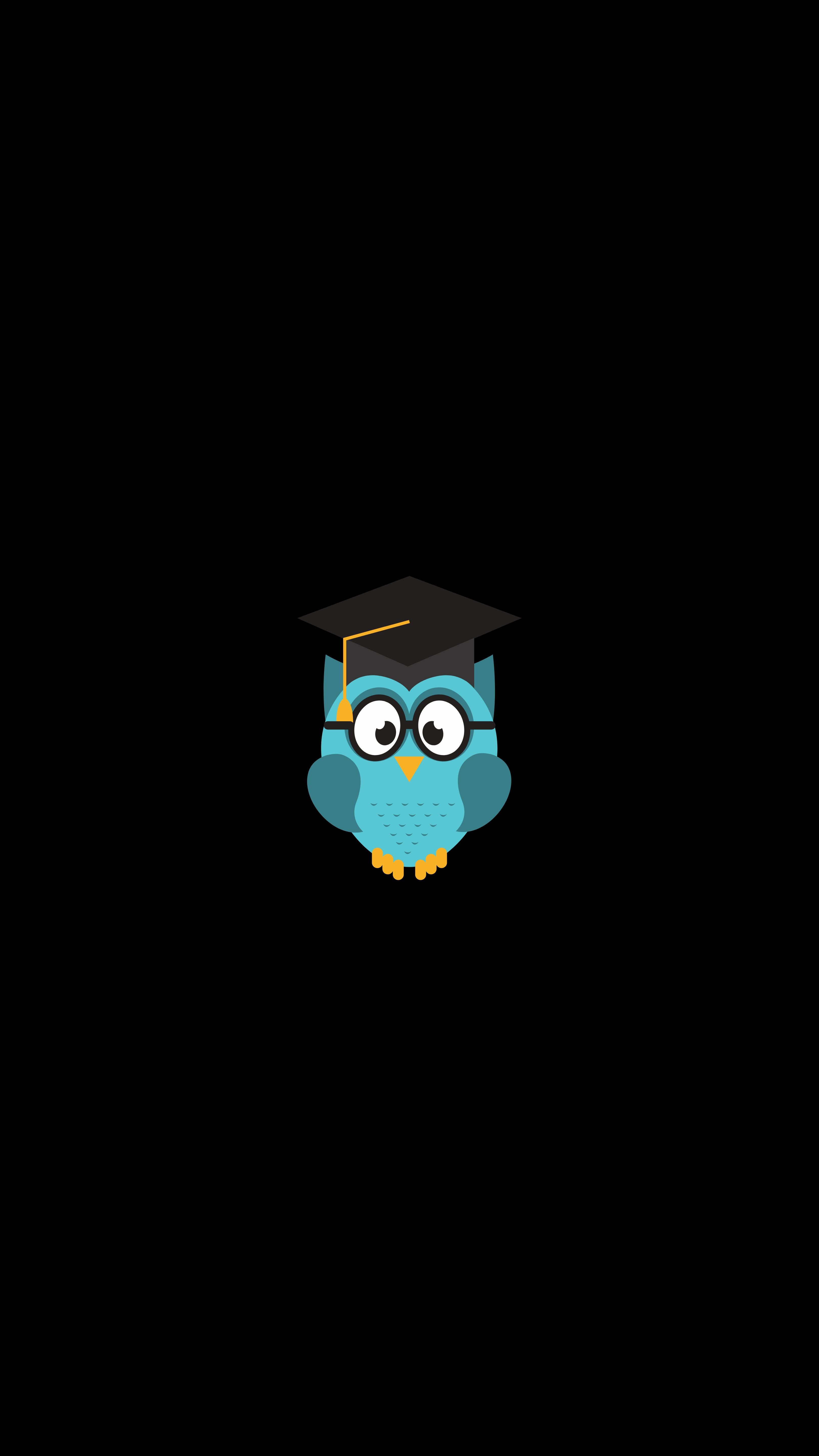 student, owl, art, vector, hat Image for desktop