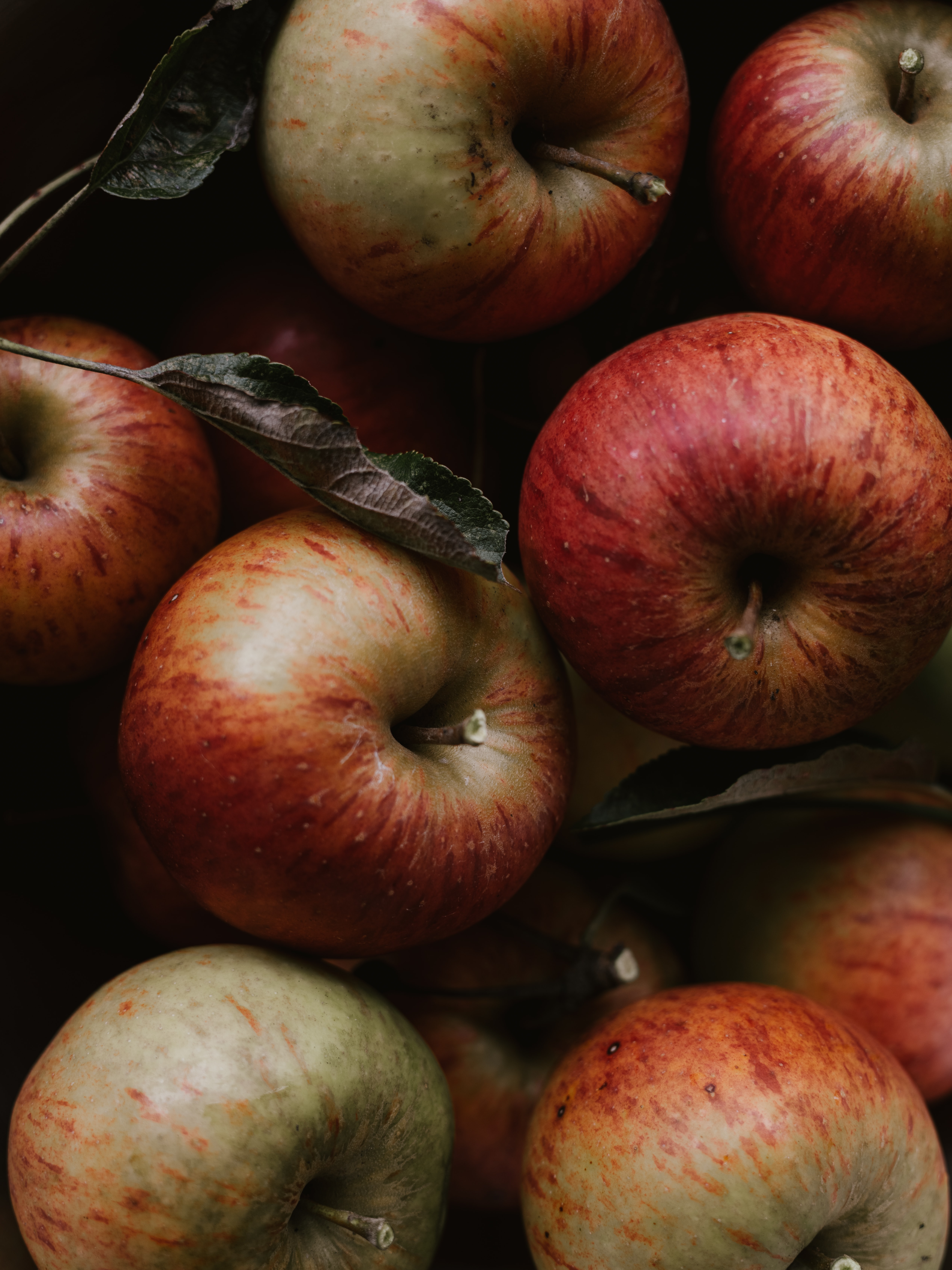 50563 скачать картинку яблоки, фрукты, еда, листья, красный - обои и заставки бесплатно
